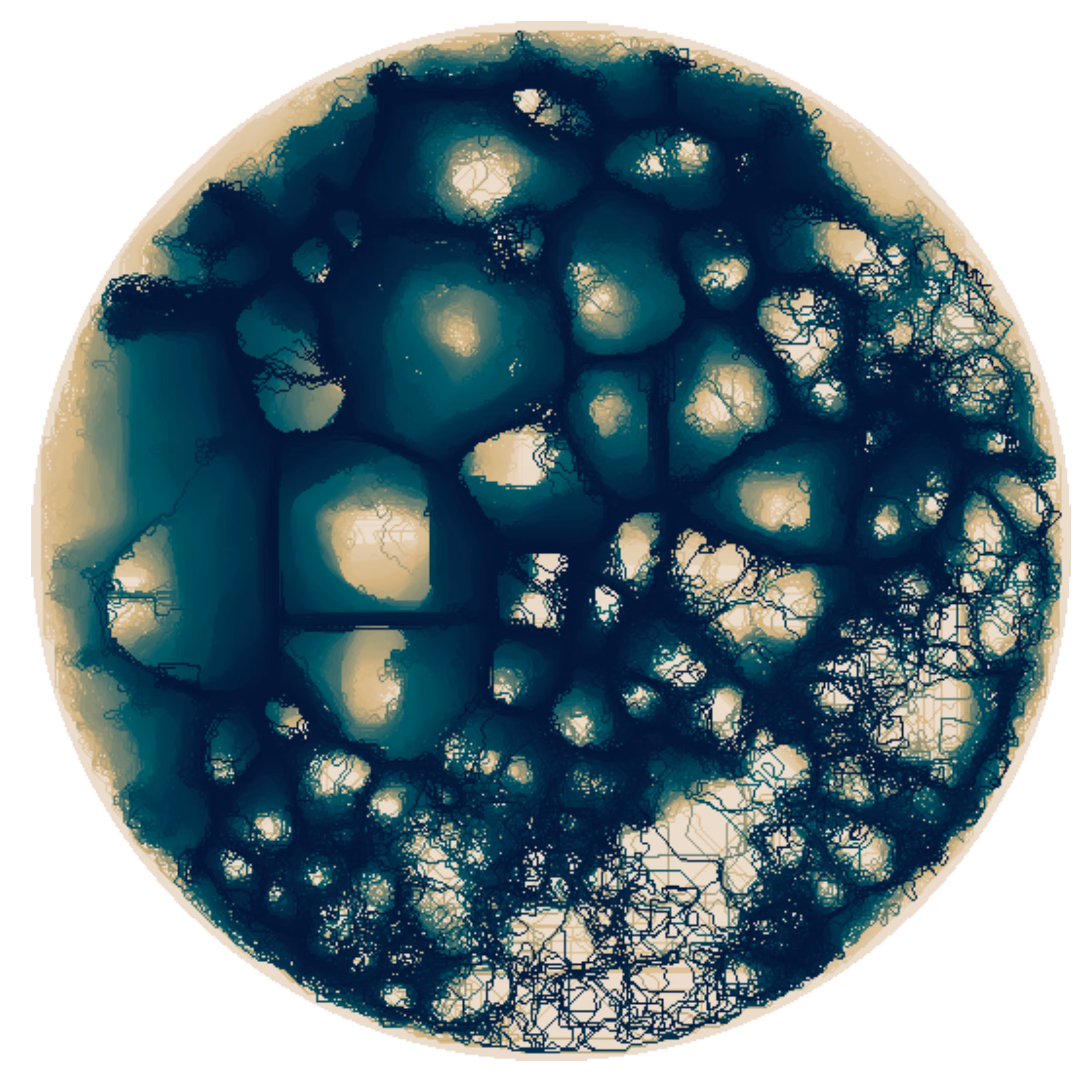 Procyon