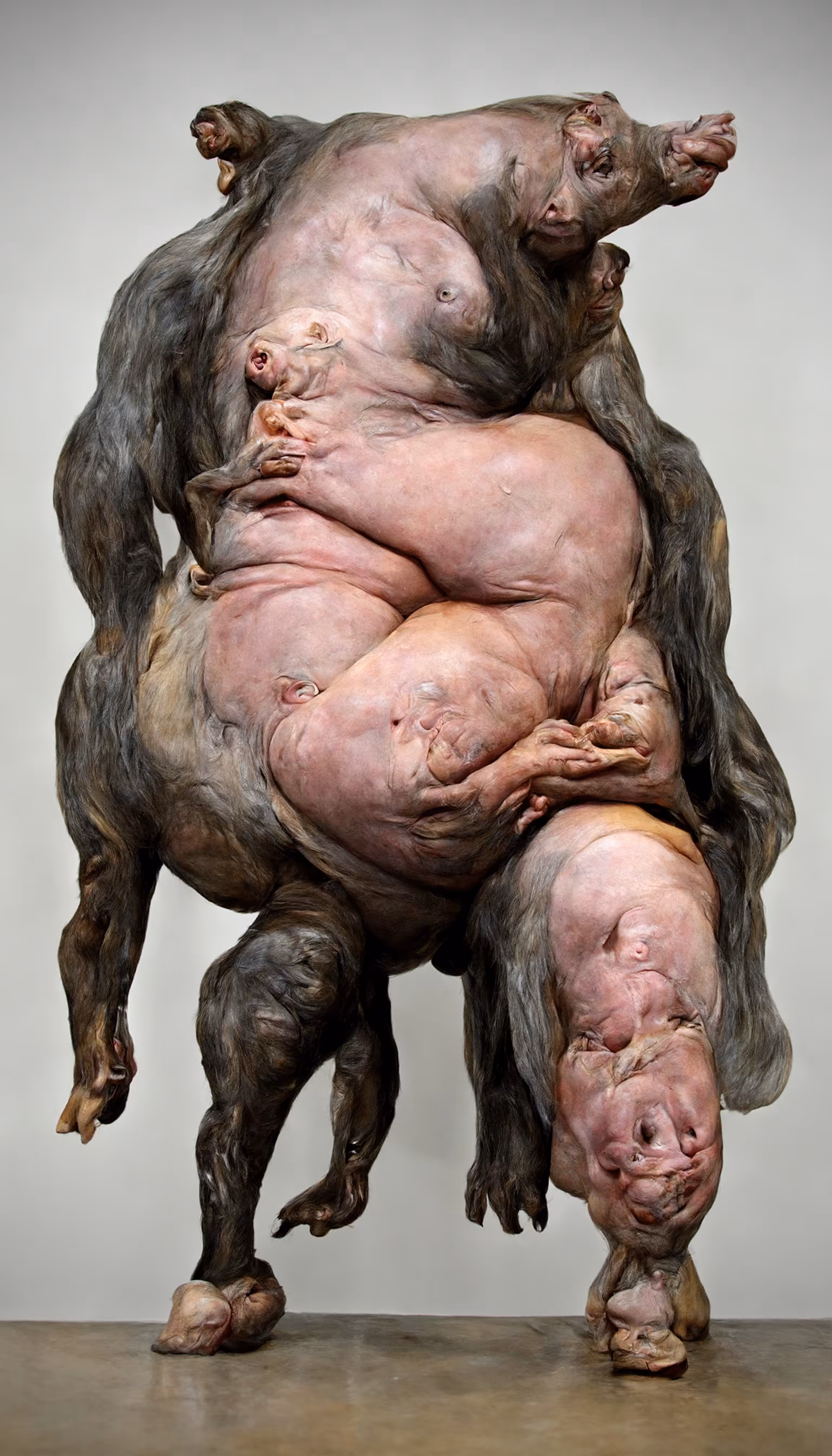 Biomorph #0396_aeneas