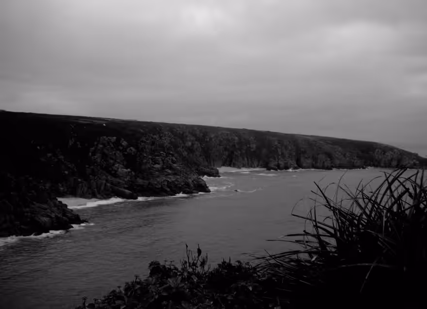 Deadly Shore