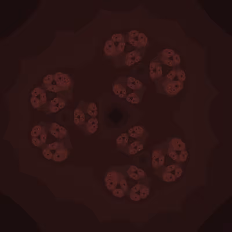 One of the fractals #33