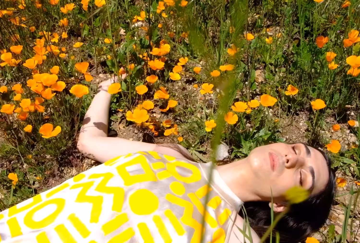 Allure of the Poppy #11