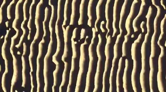 Worms screen 