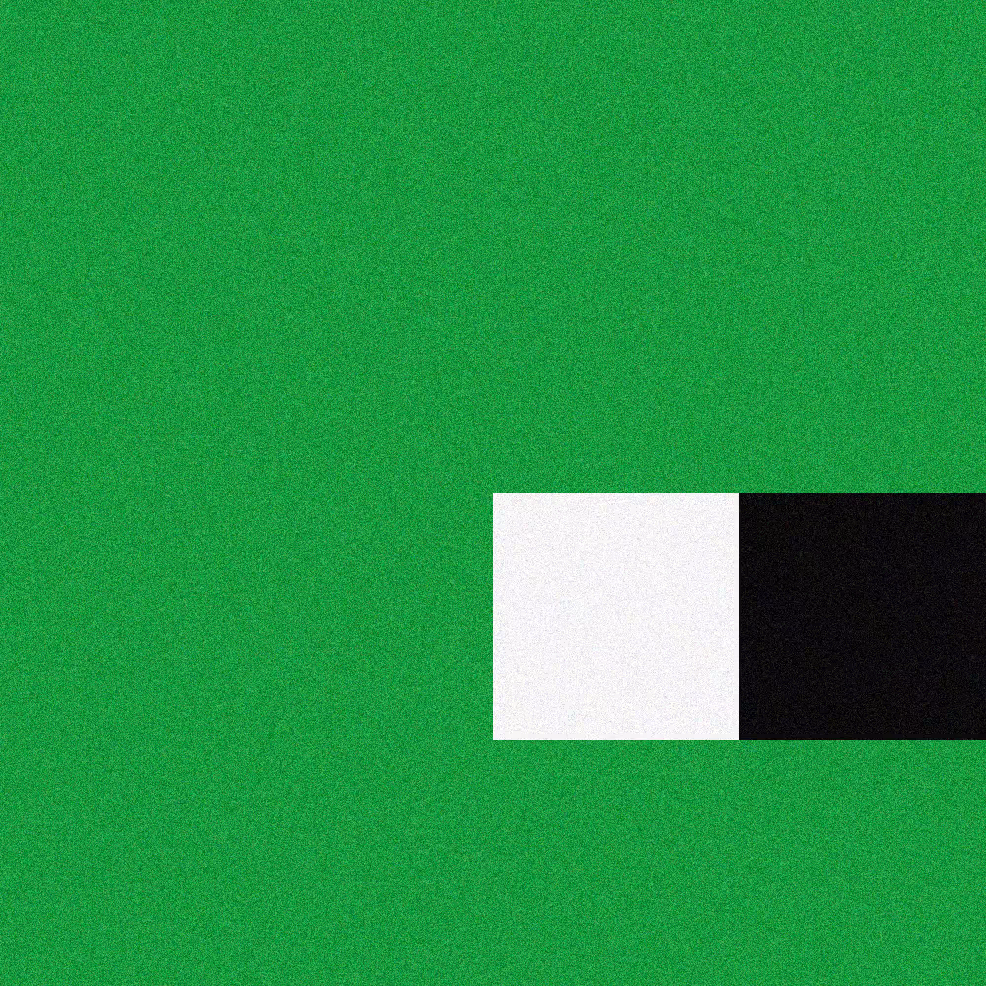 Side View Pepe