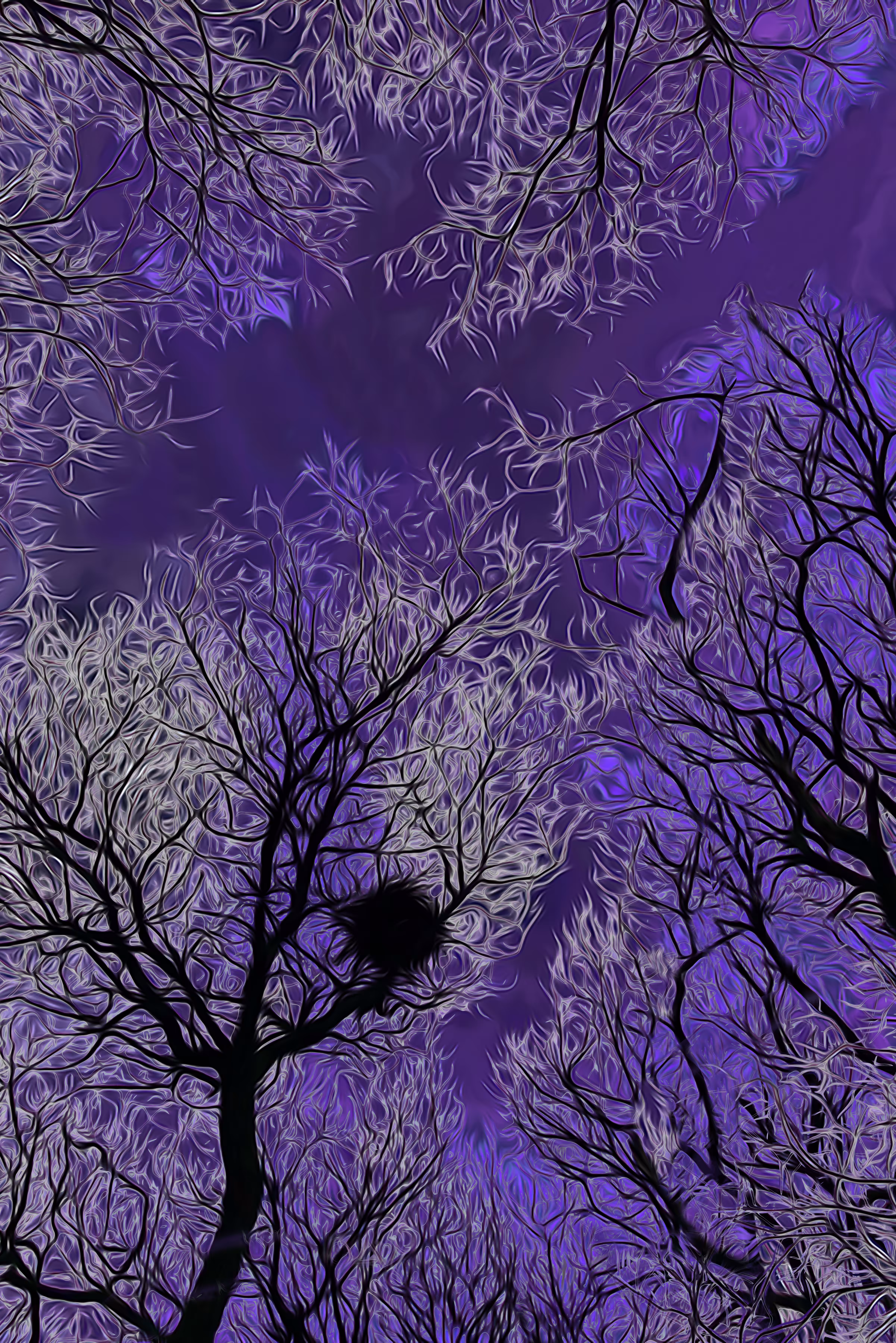 Purple Roof