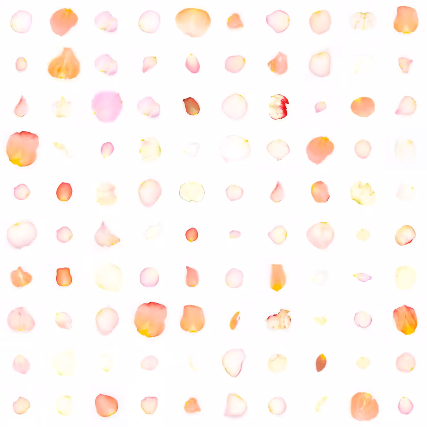 Infinite Petals 10x10#2877