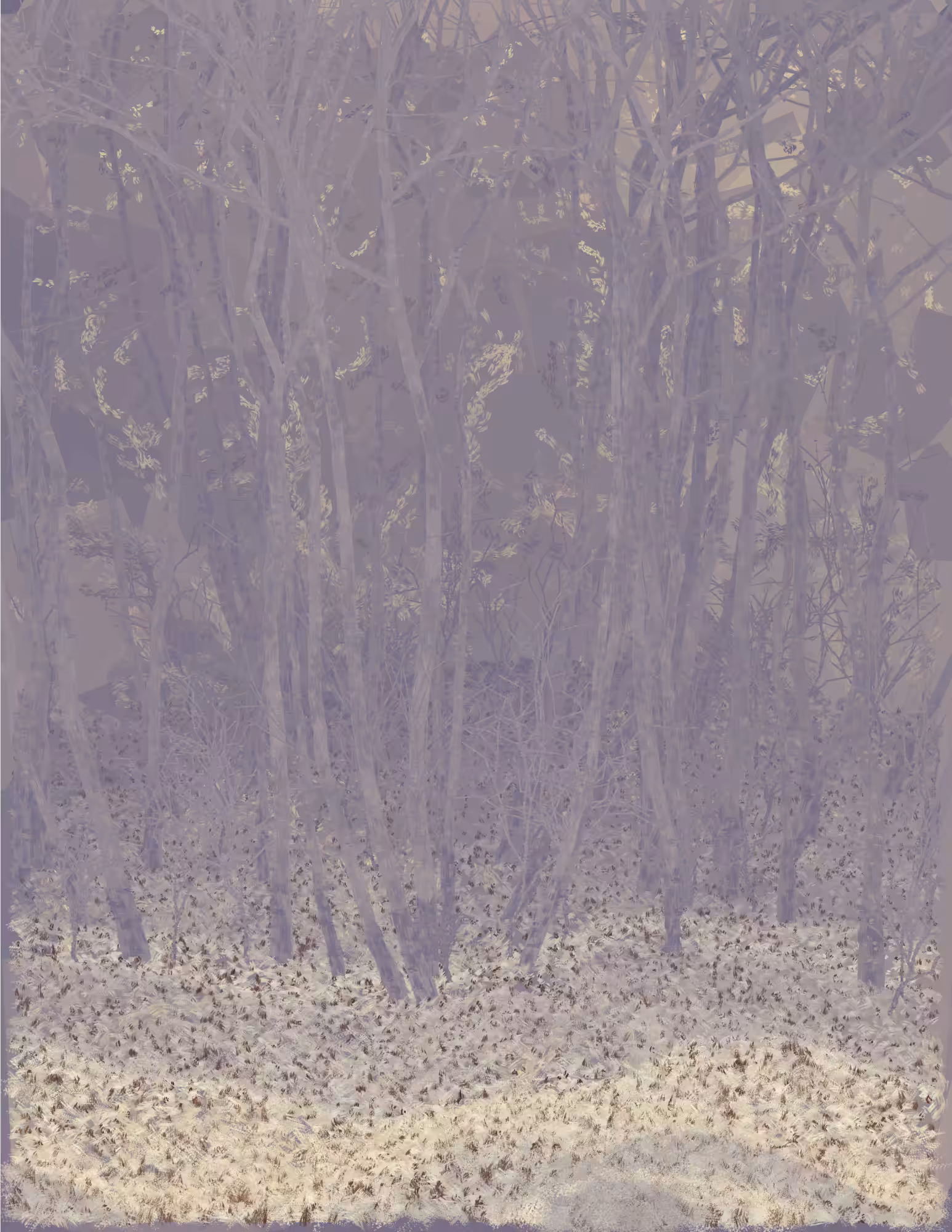 Deep Forest #102