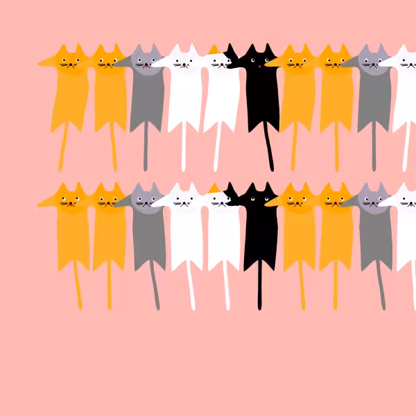 The Catsssss #12