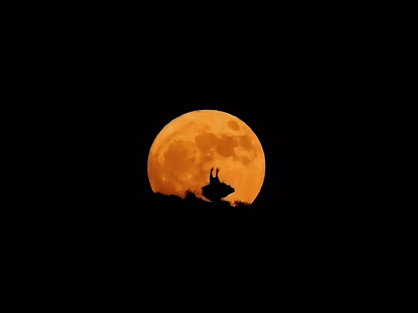 Dancer with moon