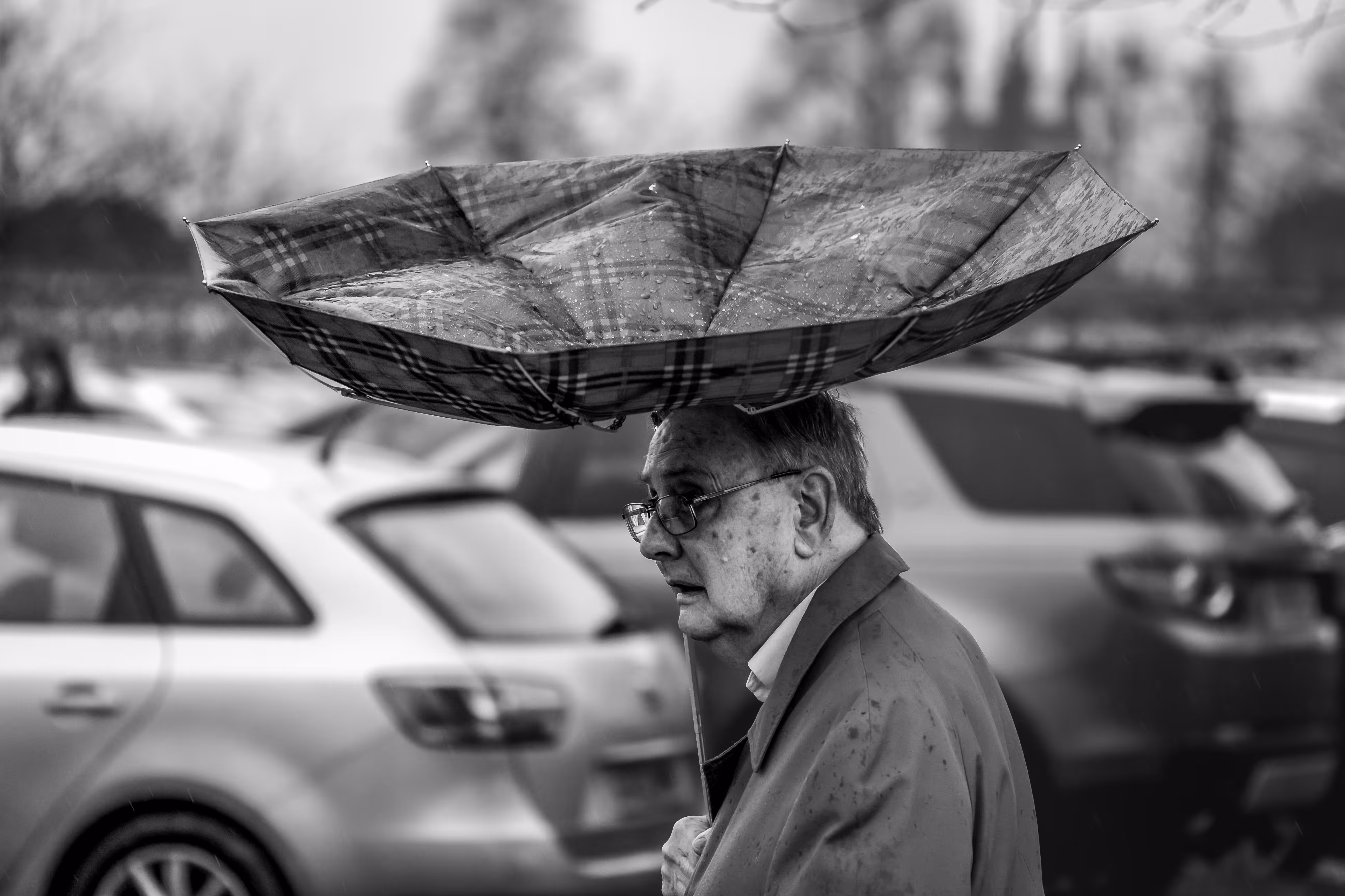 Bad Weather Genesis