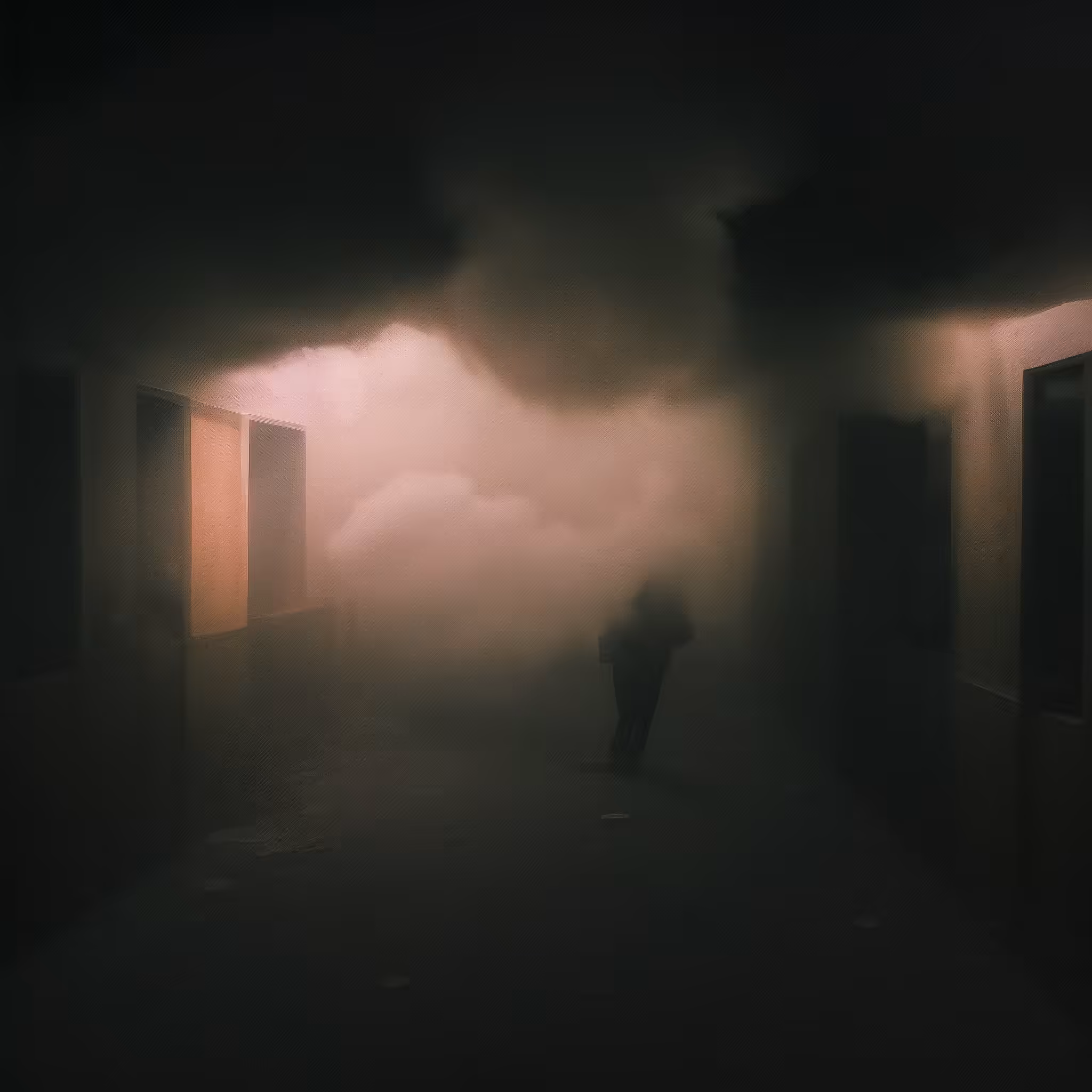 One Day You Will Disappear 