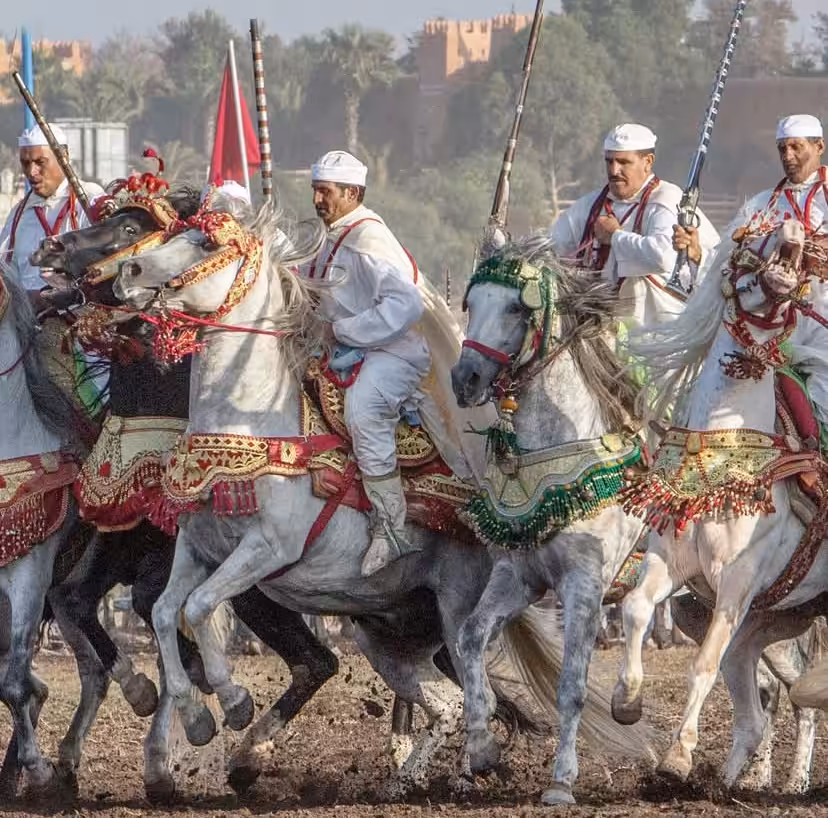 Tbourida, Moroccan horsemanship