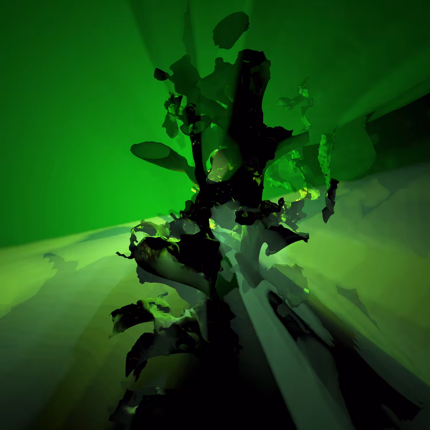 BLOOMCORE #26