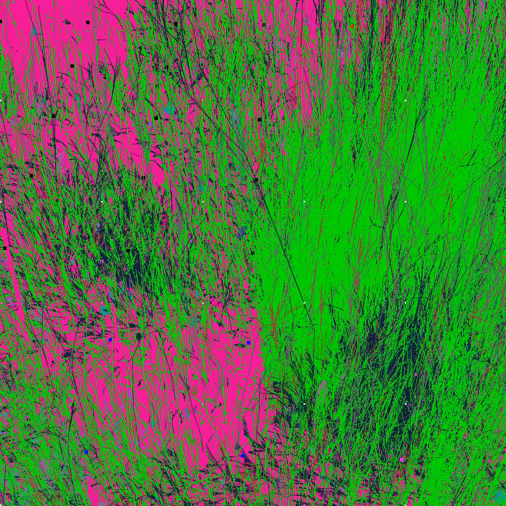 Infinite Garden: 214100 Flowers