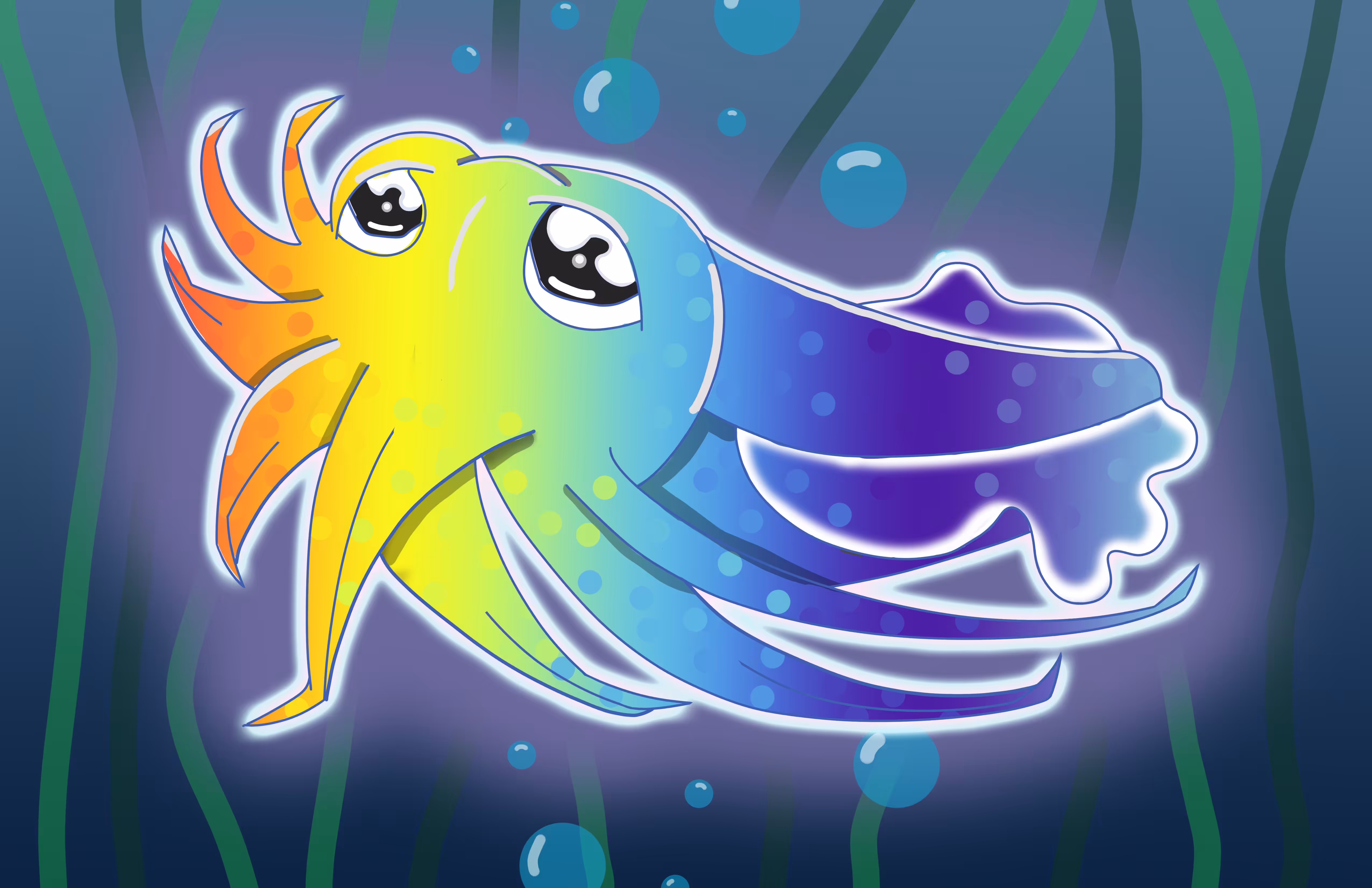 Rainbow Cuttlefish