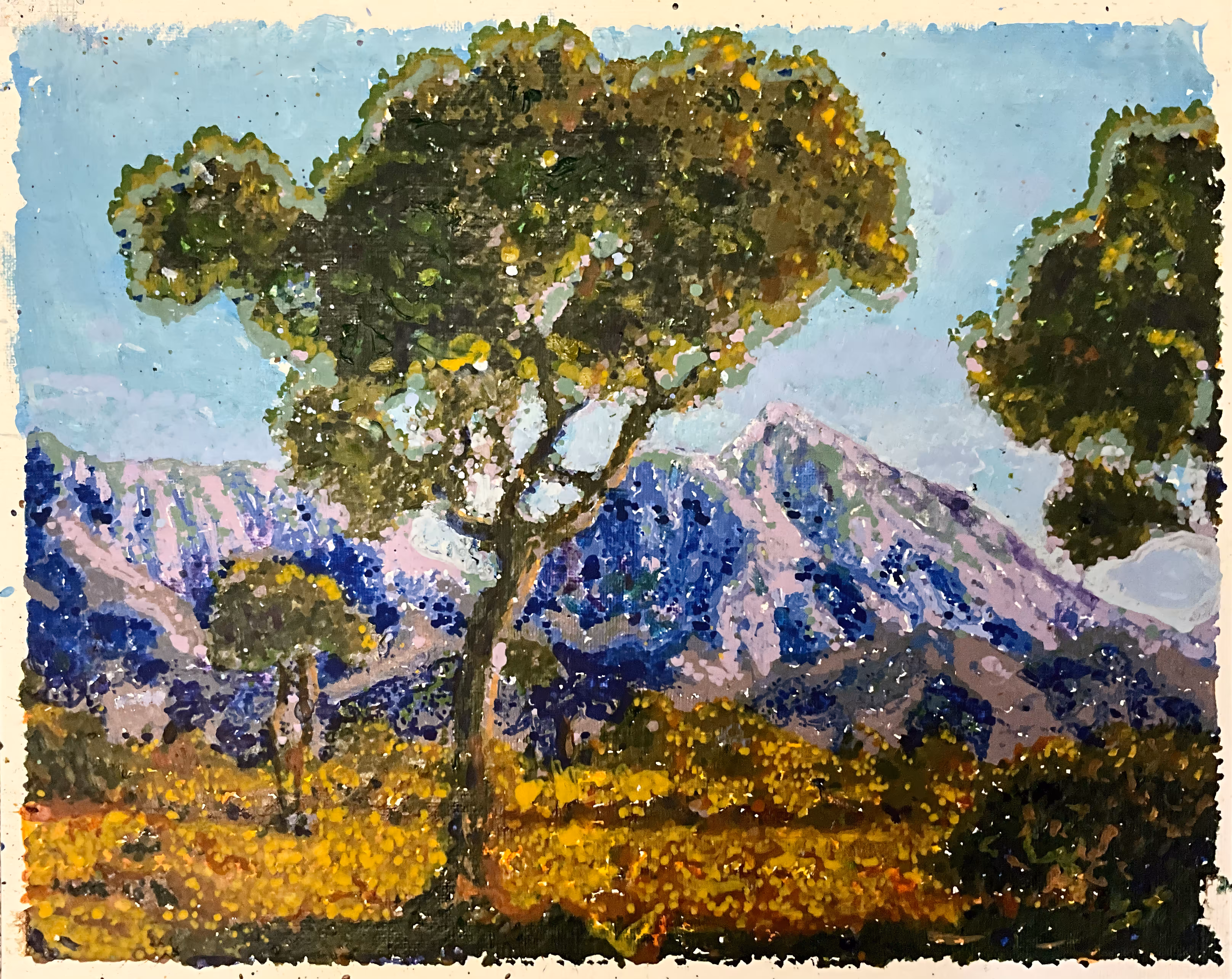 Almendros con el Eje Neovolcánico de fondo
