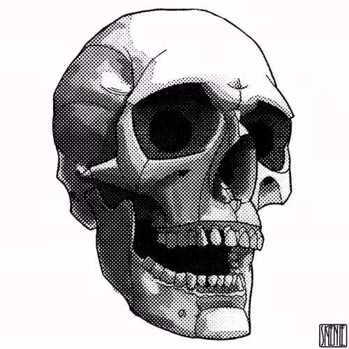 💀43 | CHROMATIC GLITCH SKULL 02