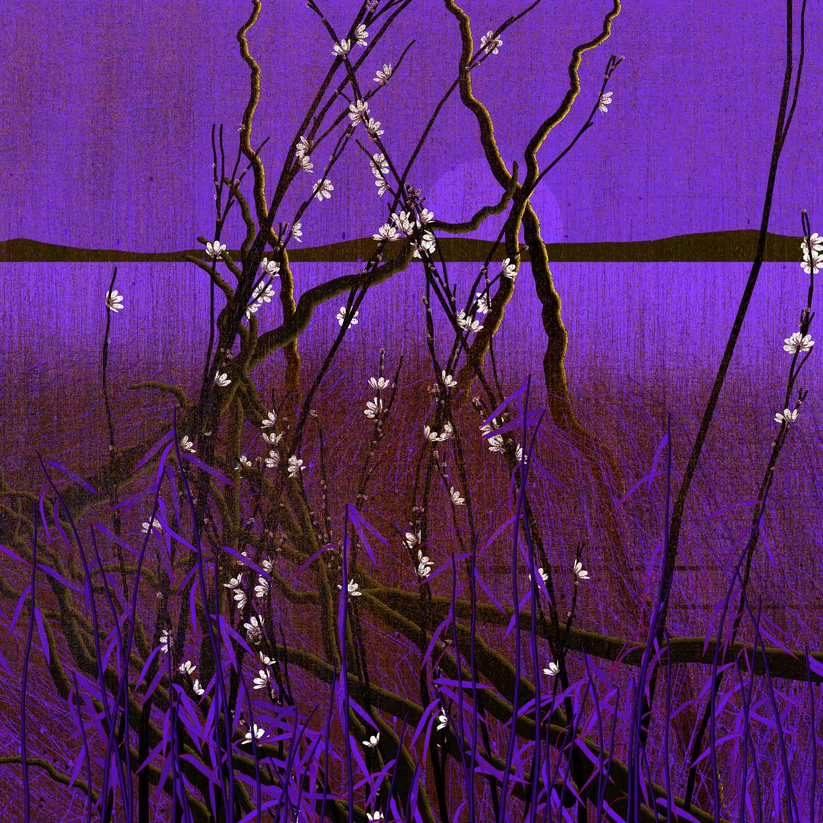 Dry twigs #58