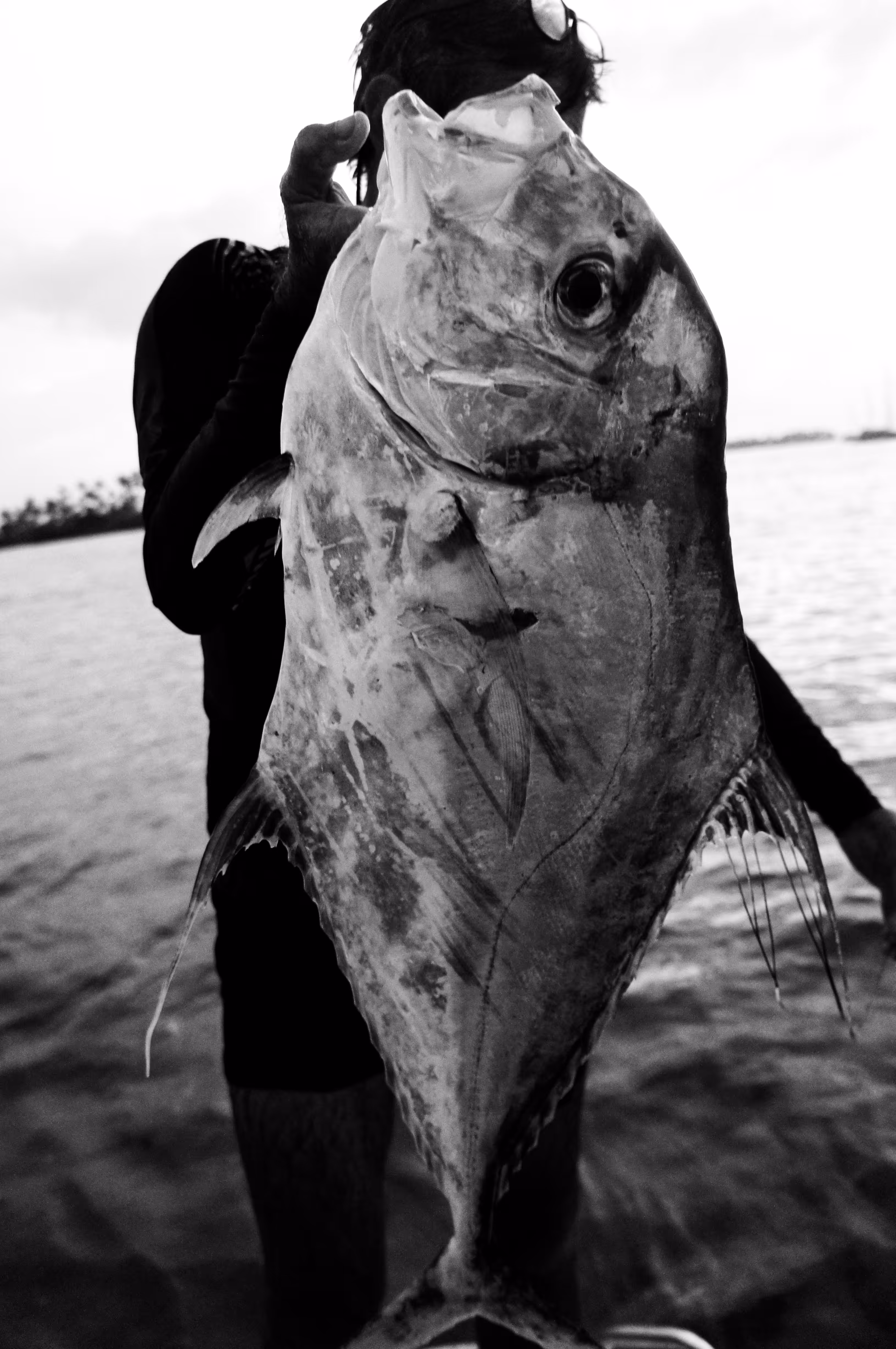 Tuna Time