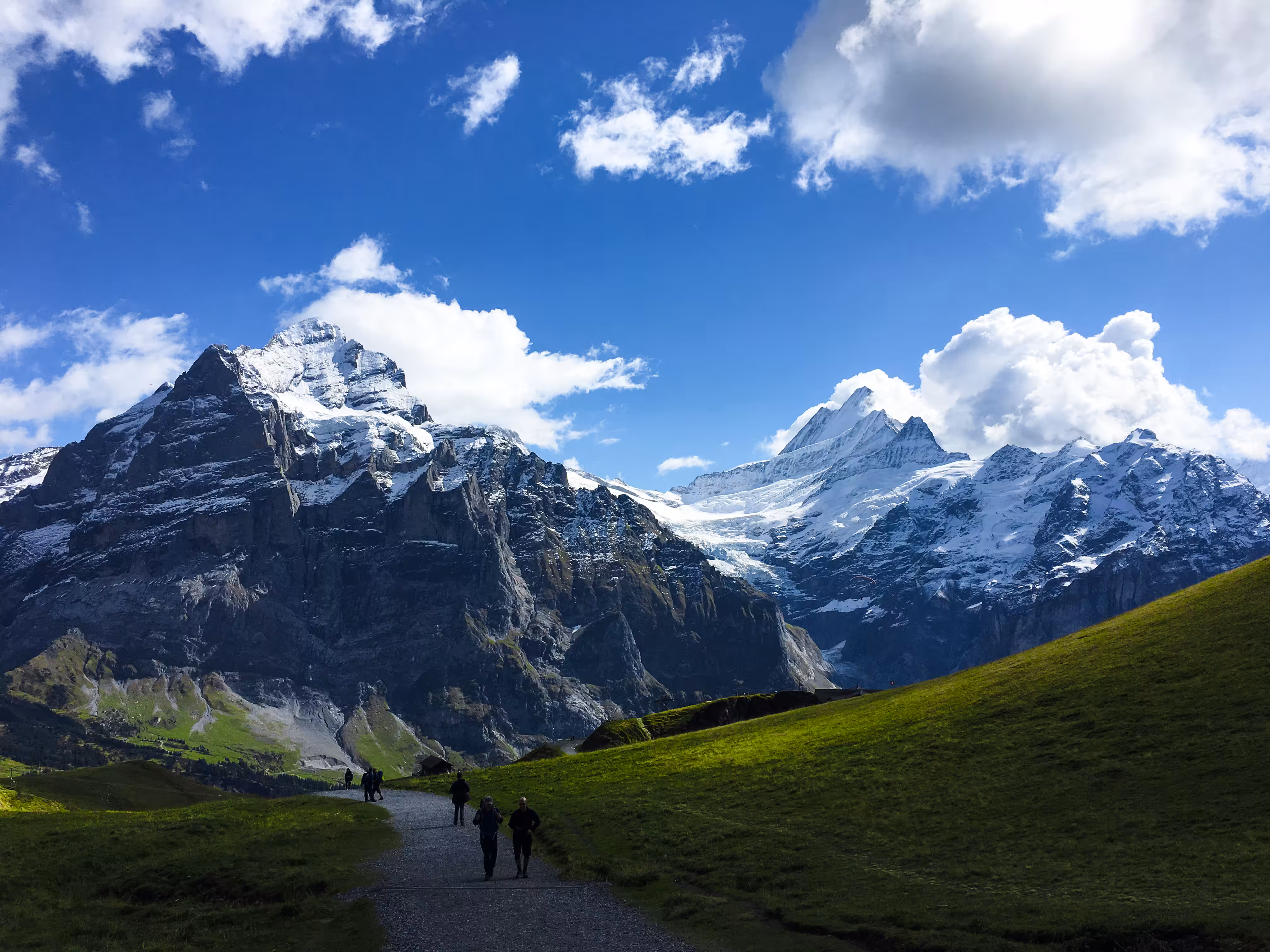 Grindelwald Landscapes