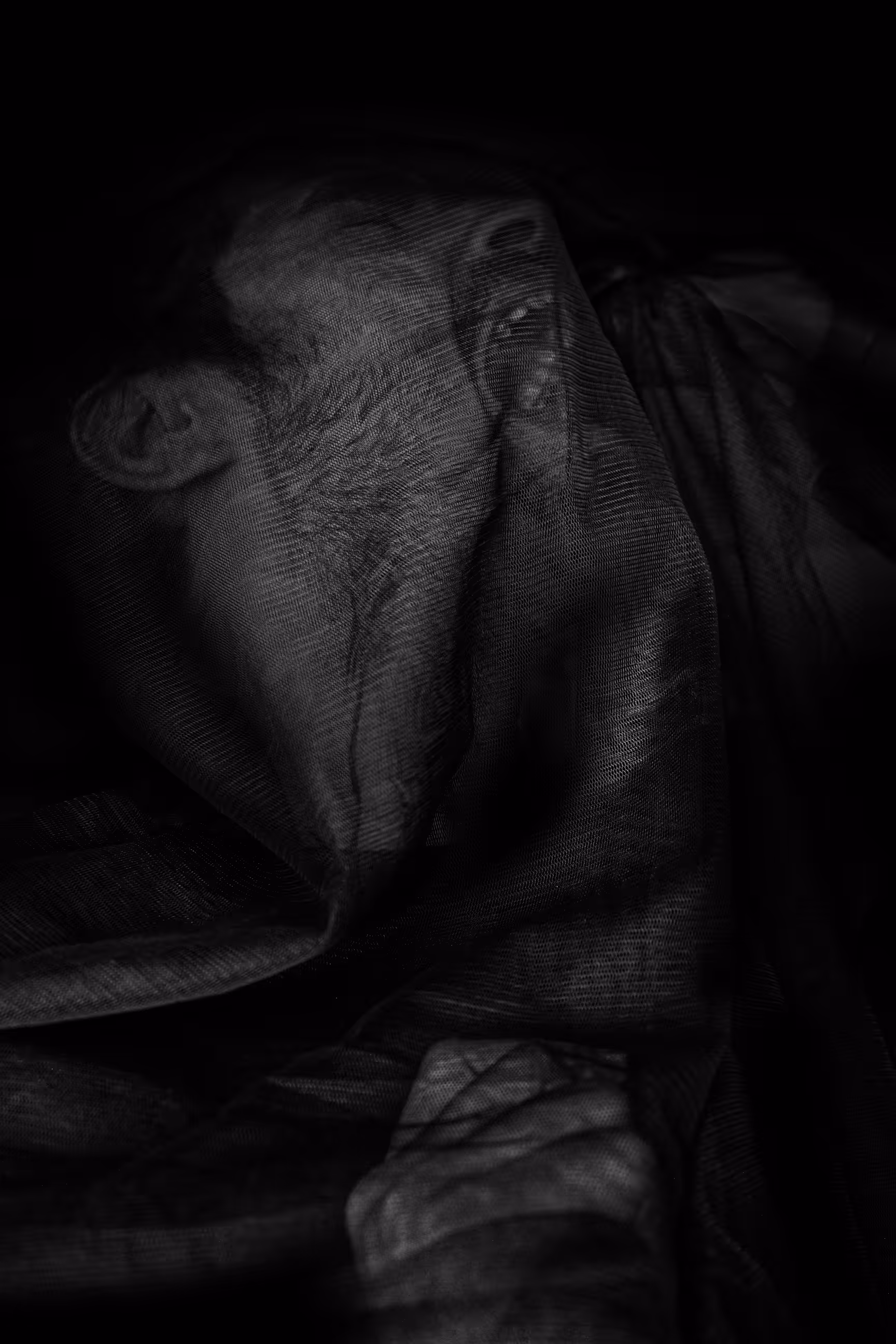 Trapped #3