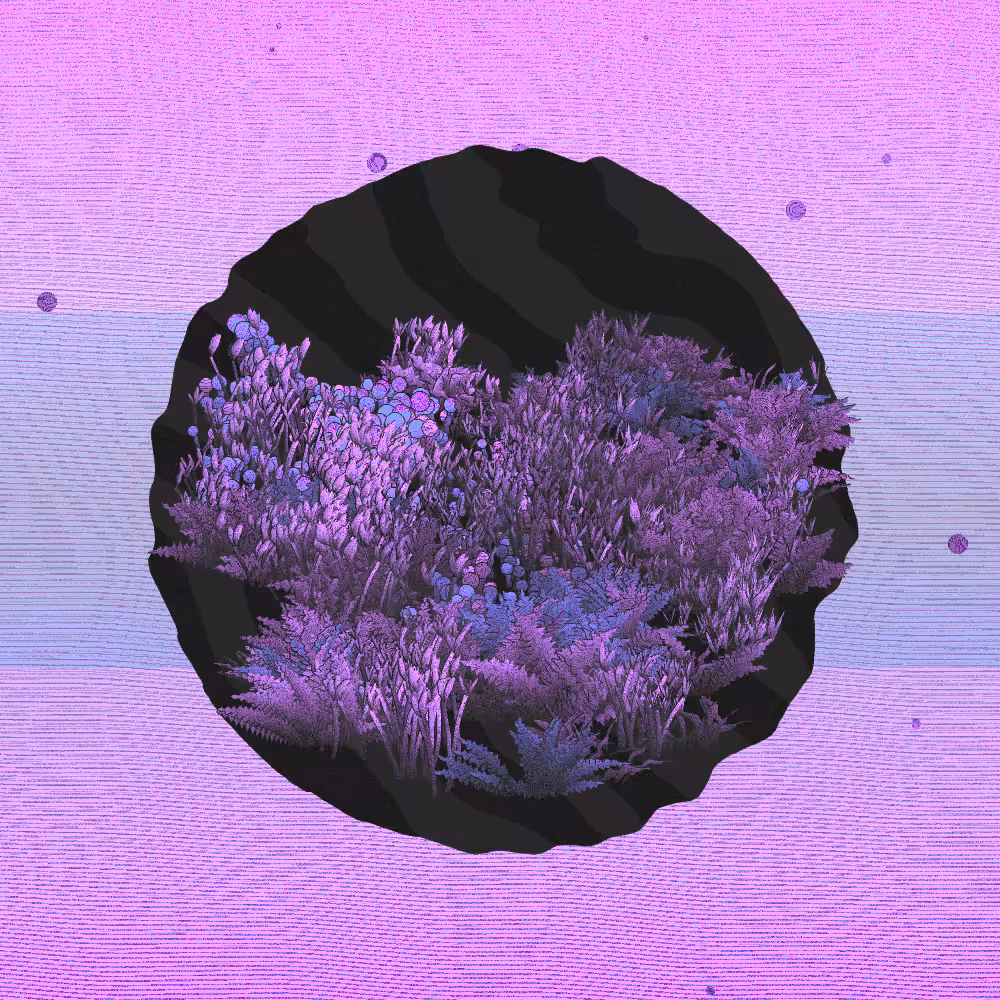 A Gift of Nature #32