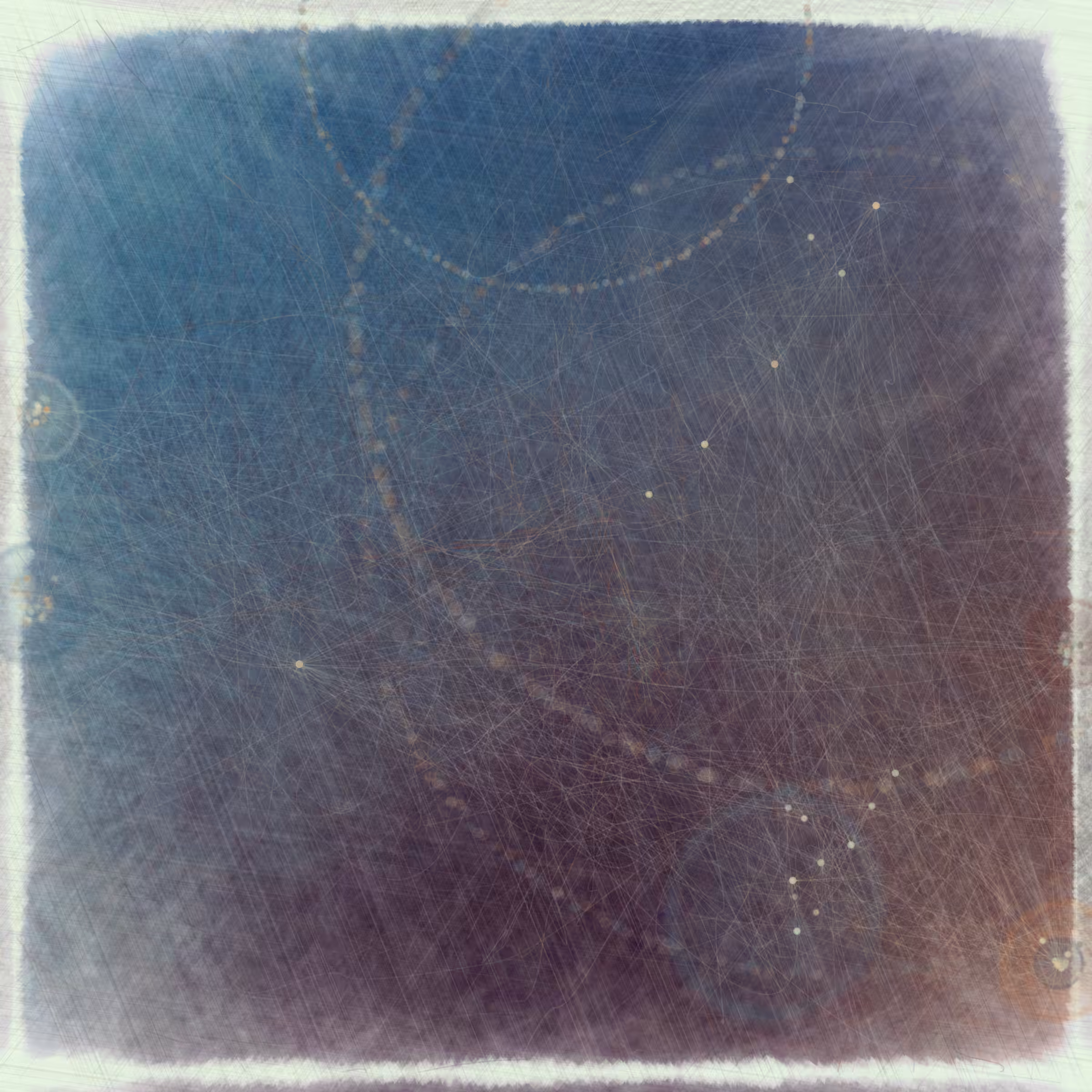 Reticulum