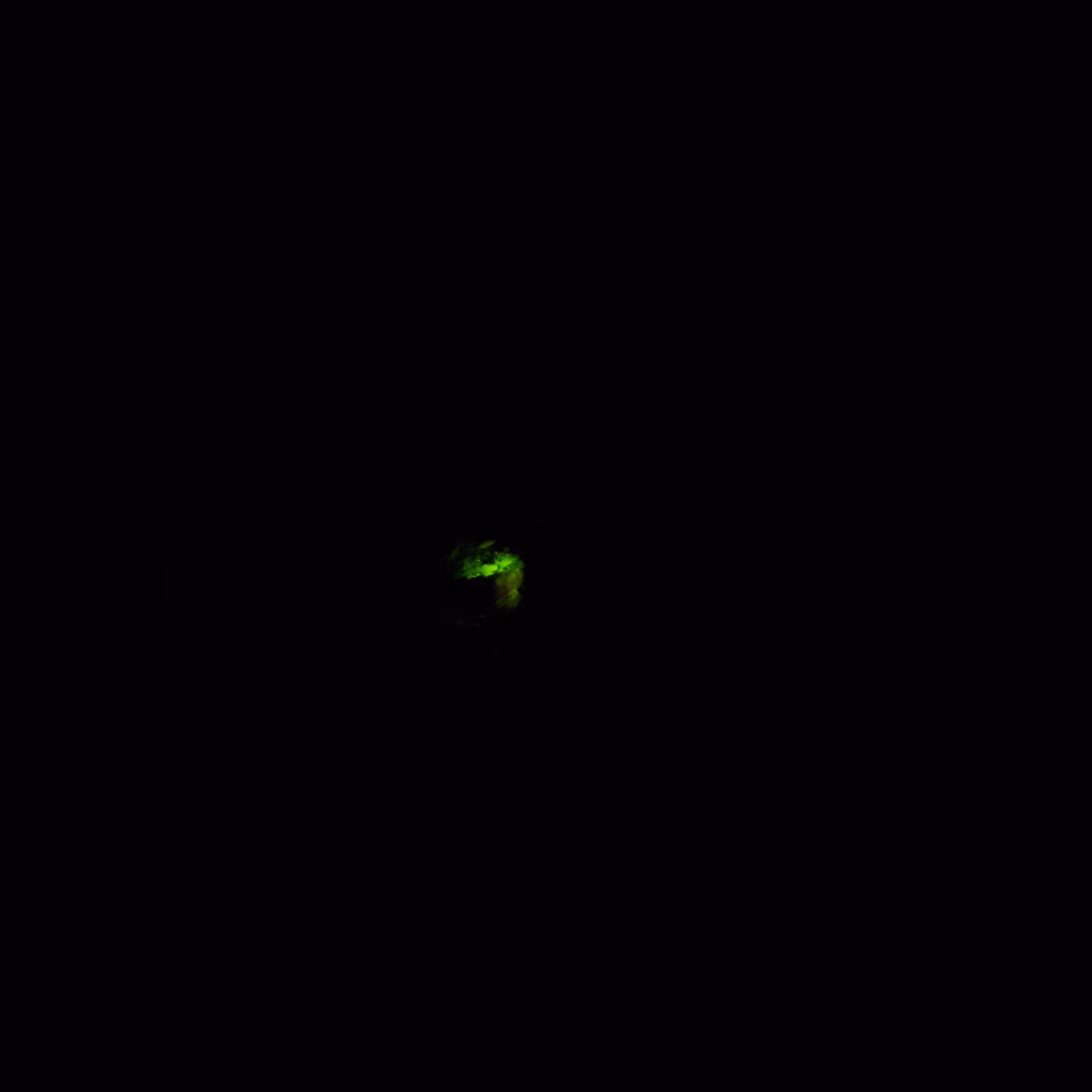 firefly
