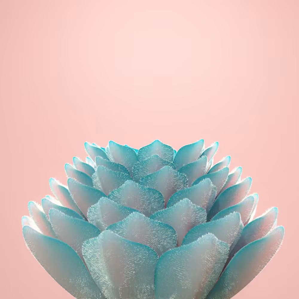 Dragon Tongue