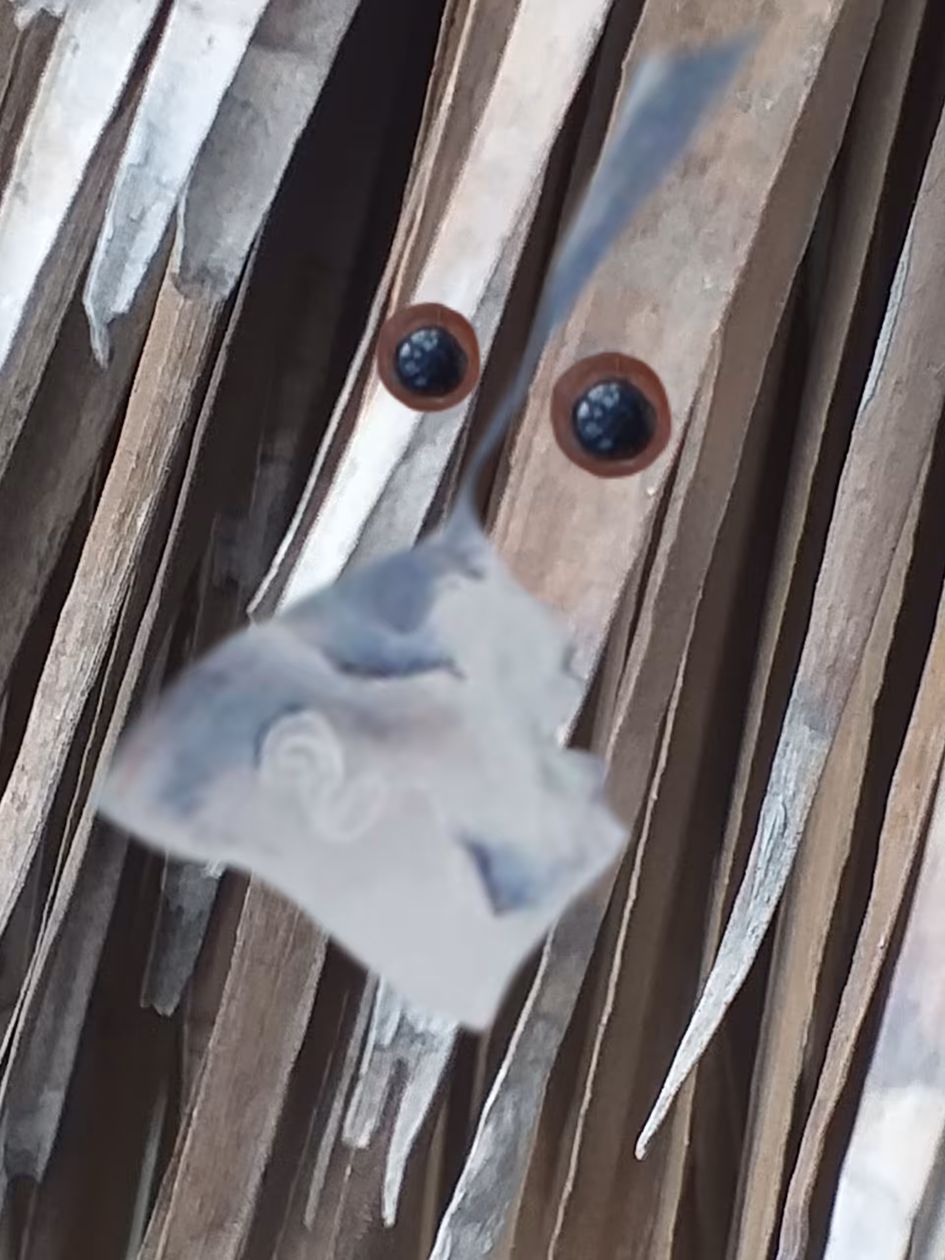 Silent art