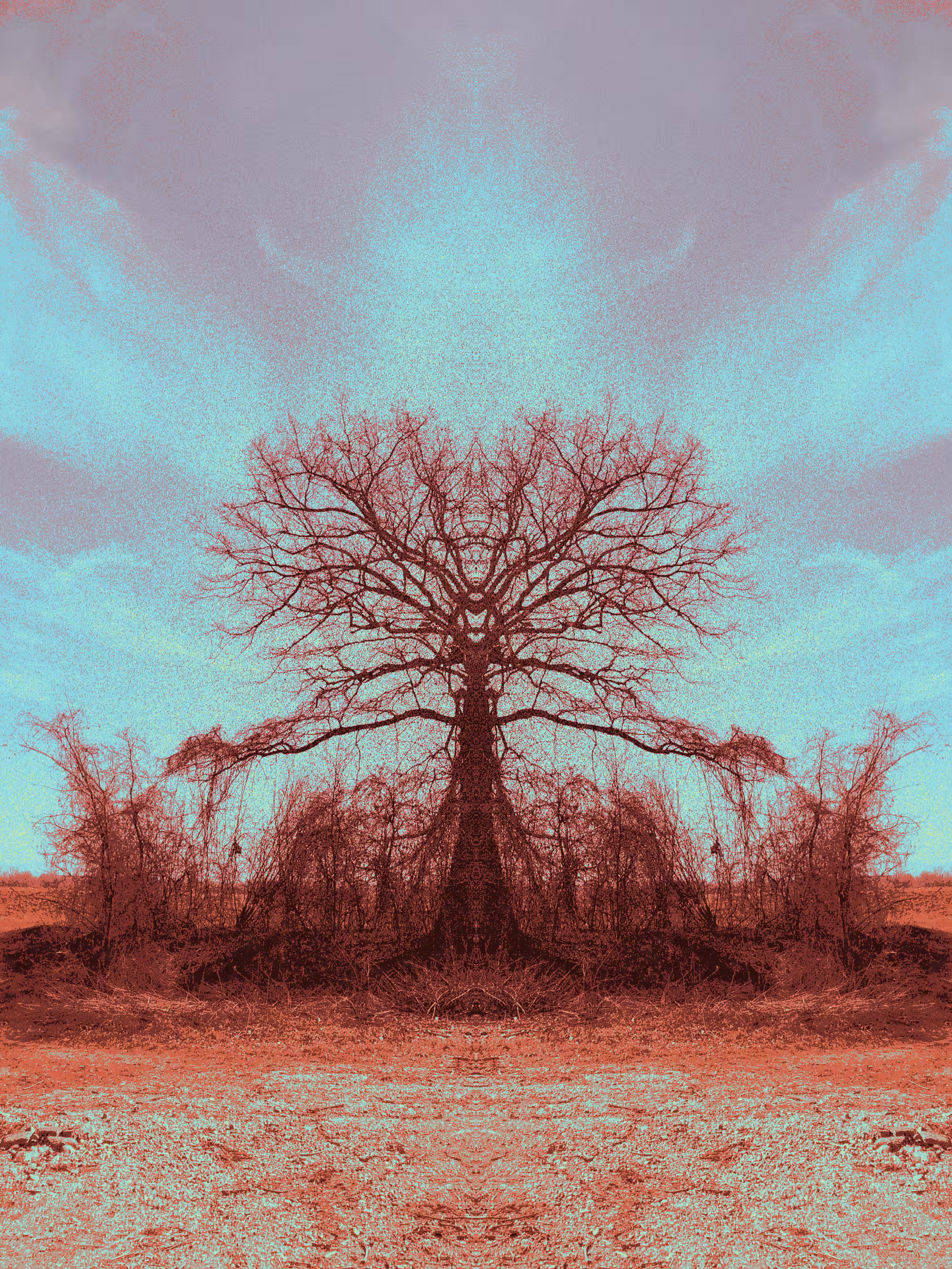 Branched noise symmetry