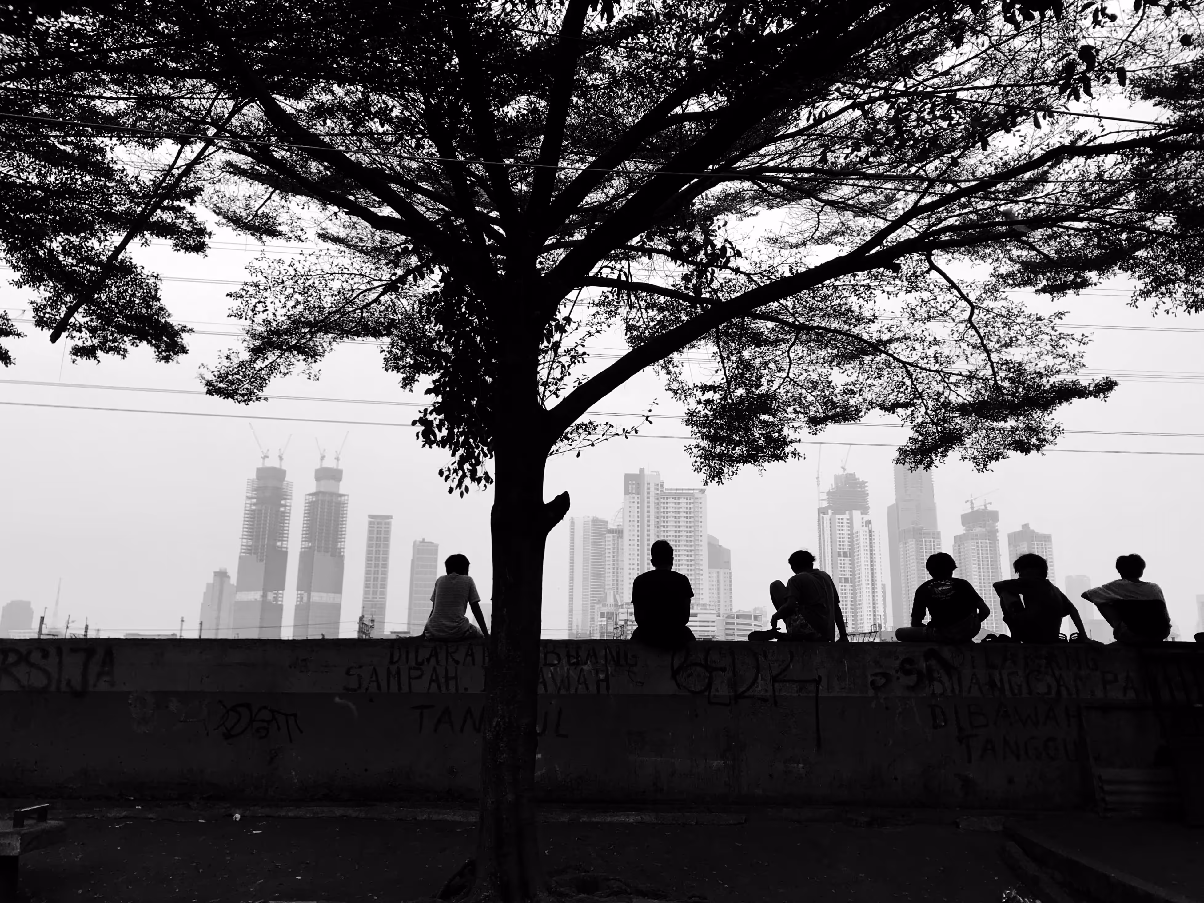 the tree change the people