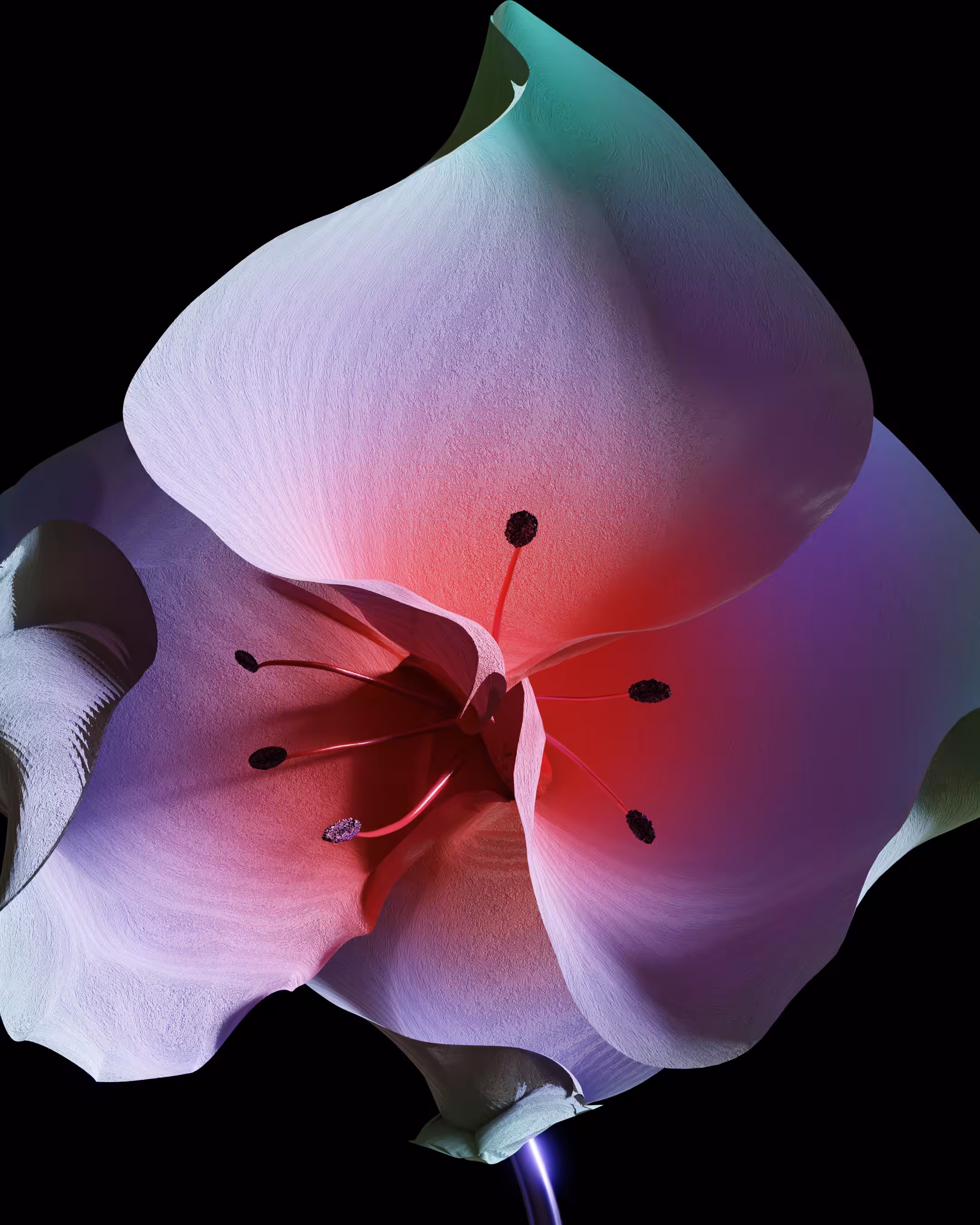 floral.003