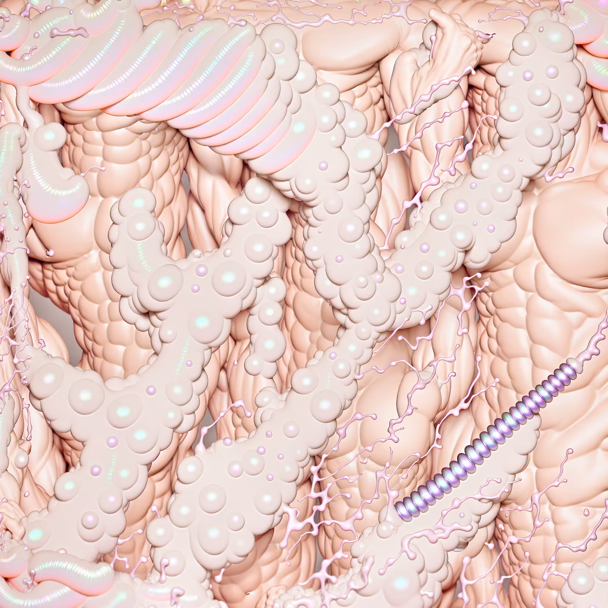 GyNo