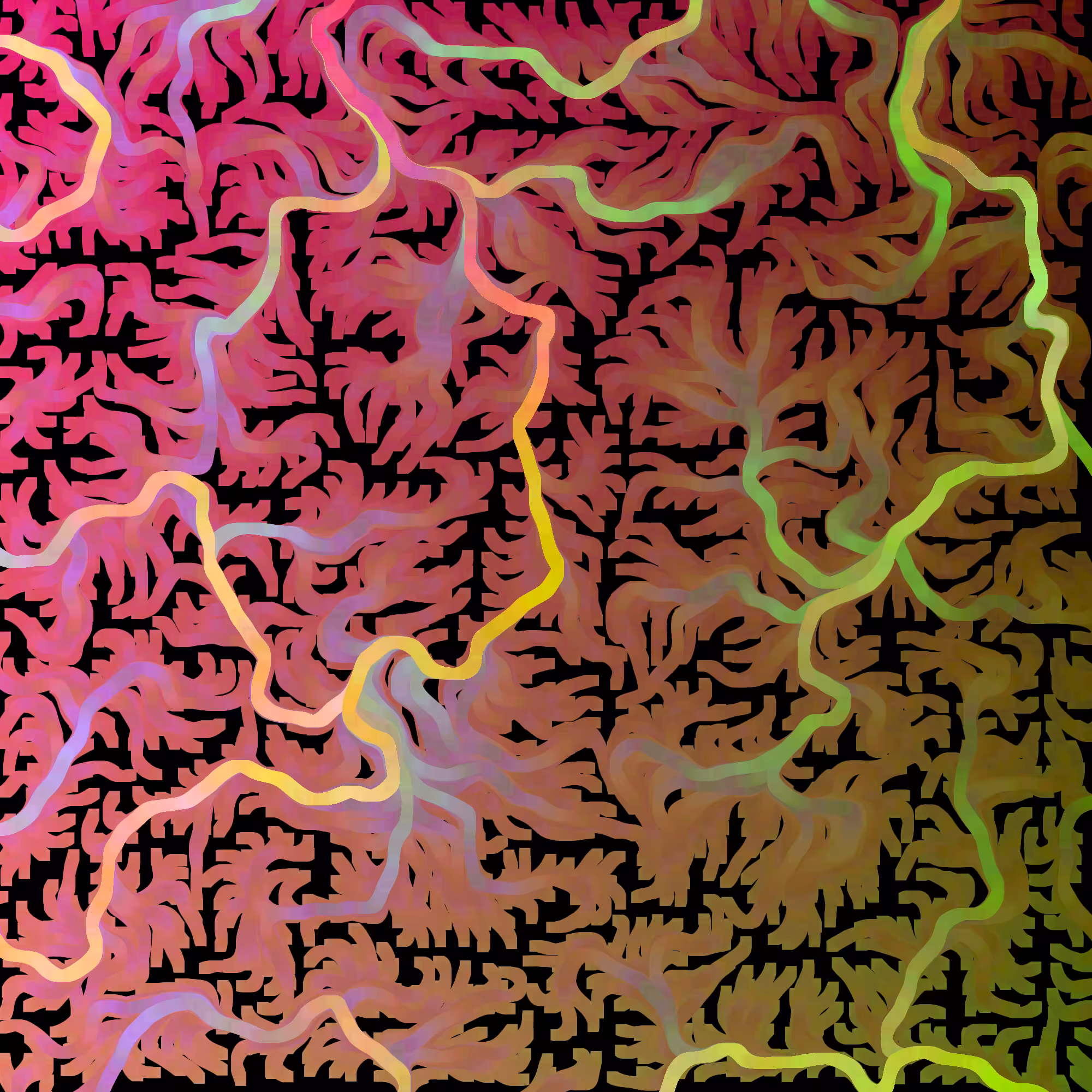 Flow Fields #1