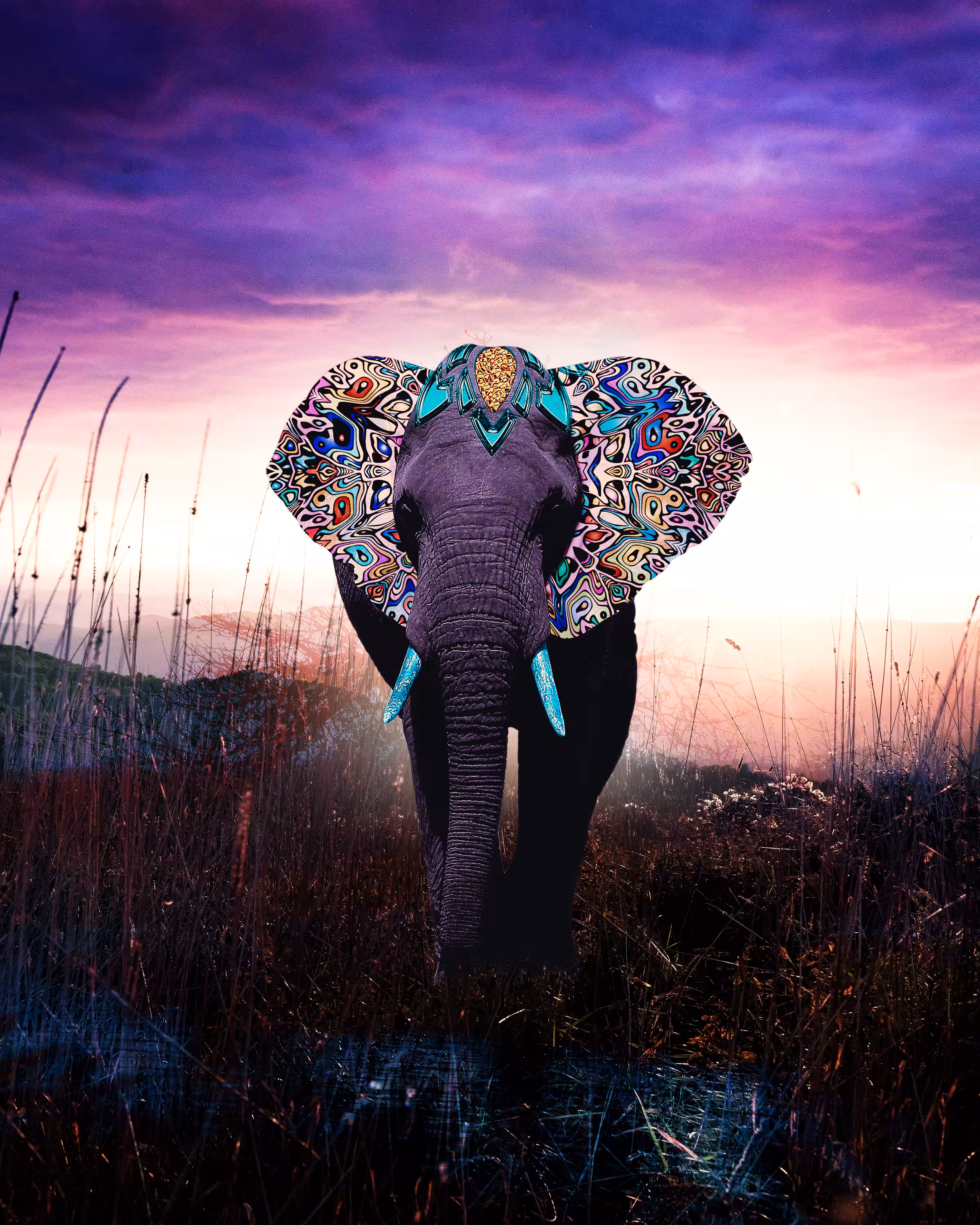 Mystical Elephant