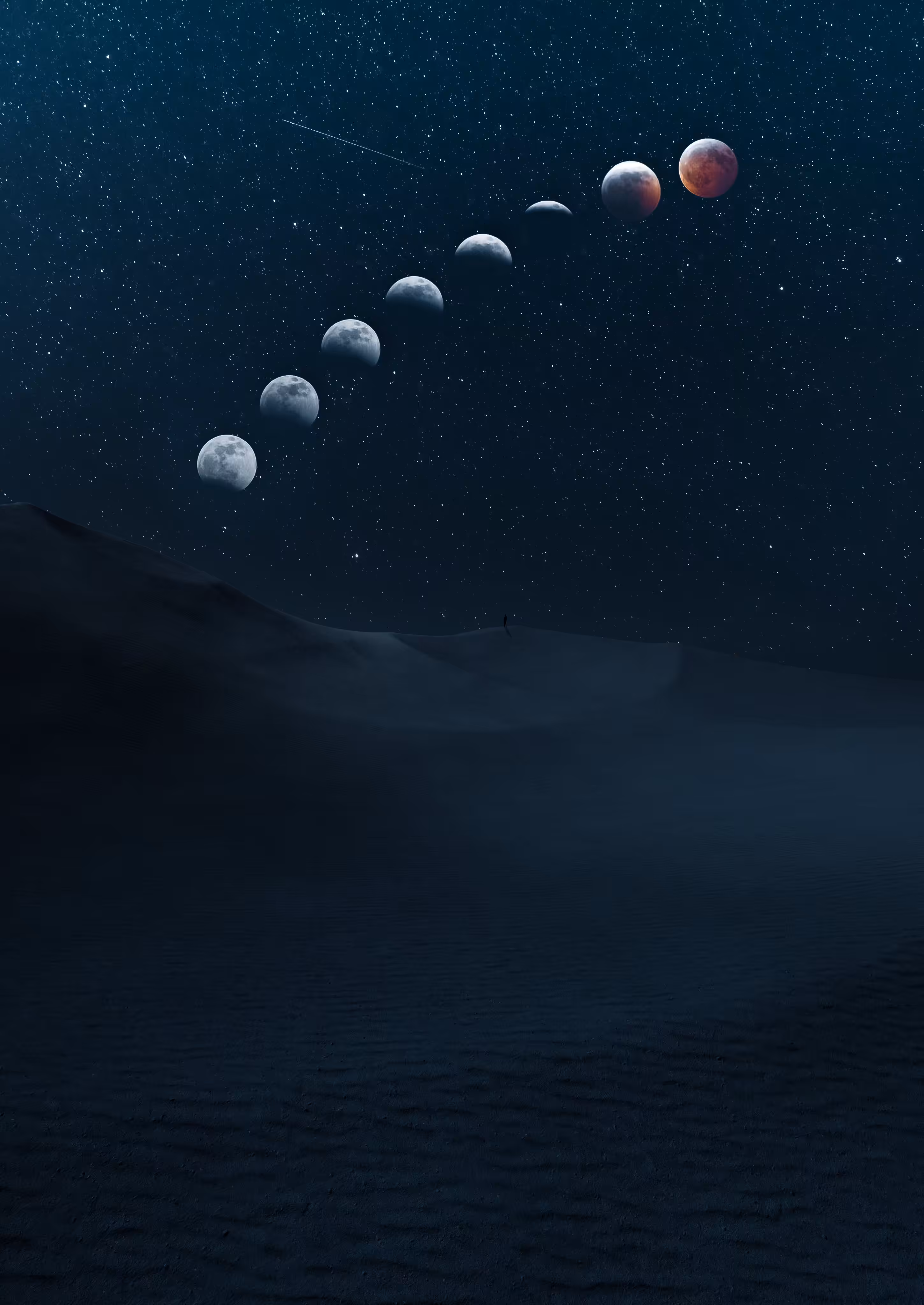 DUNESCAPE XXIV