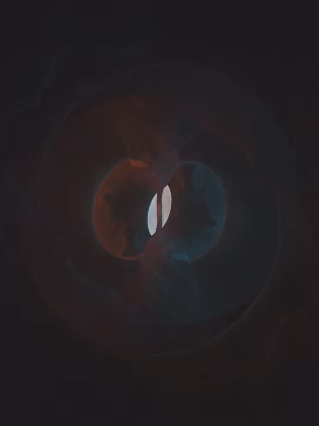 Duality