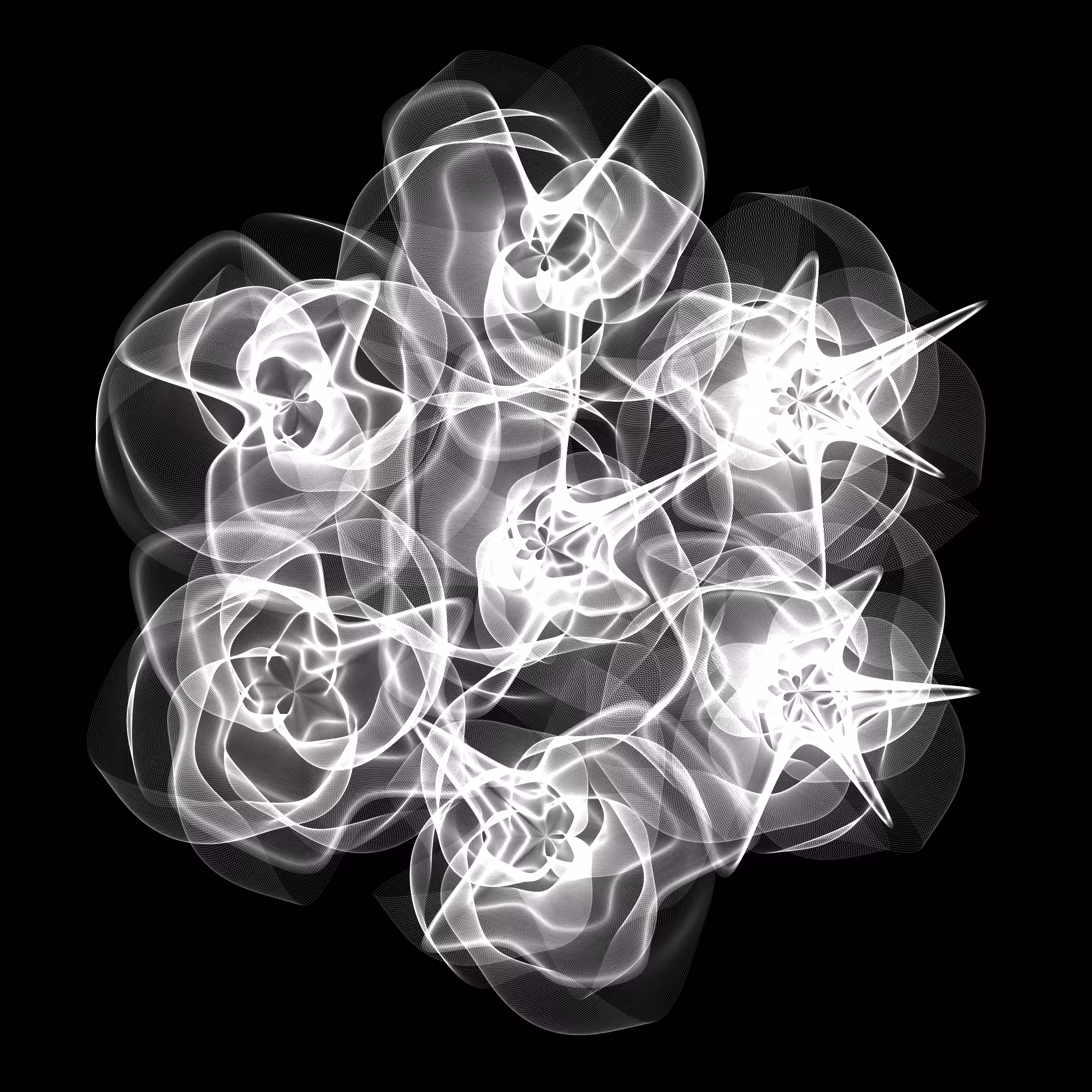 Flowers #2870