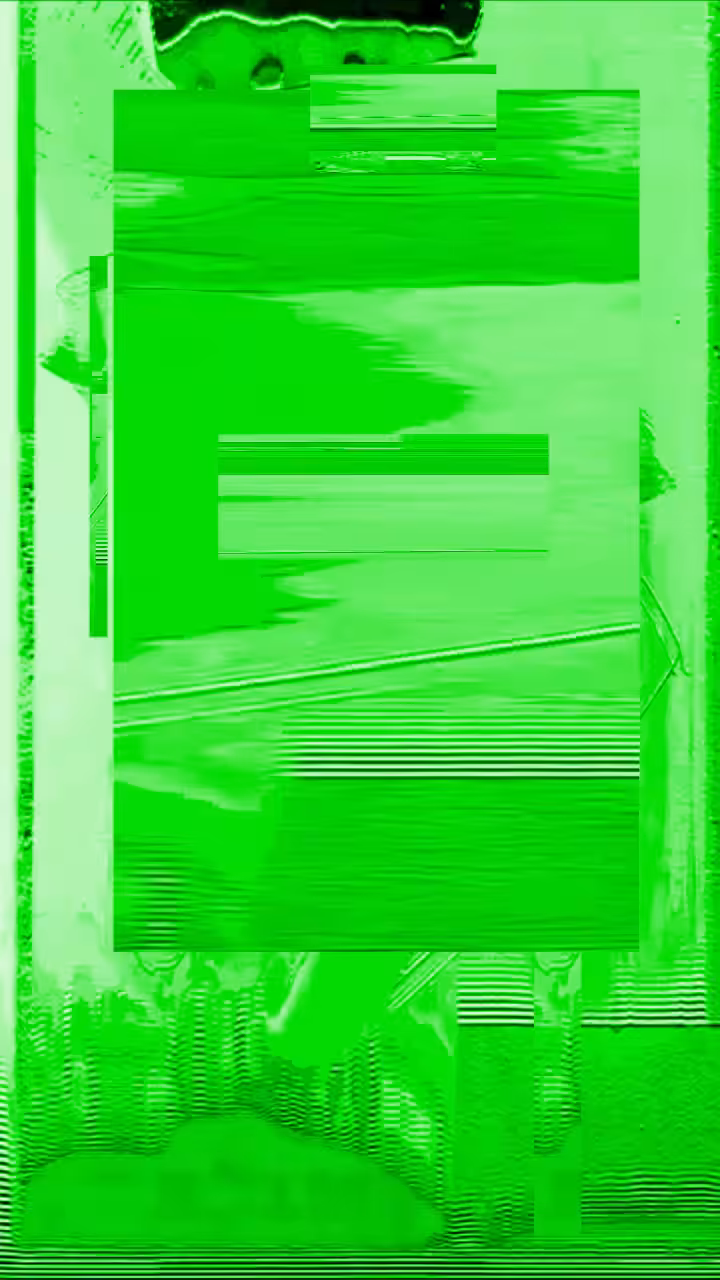F̷r̷e̸s̵c̶a̴