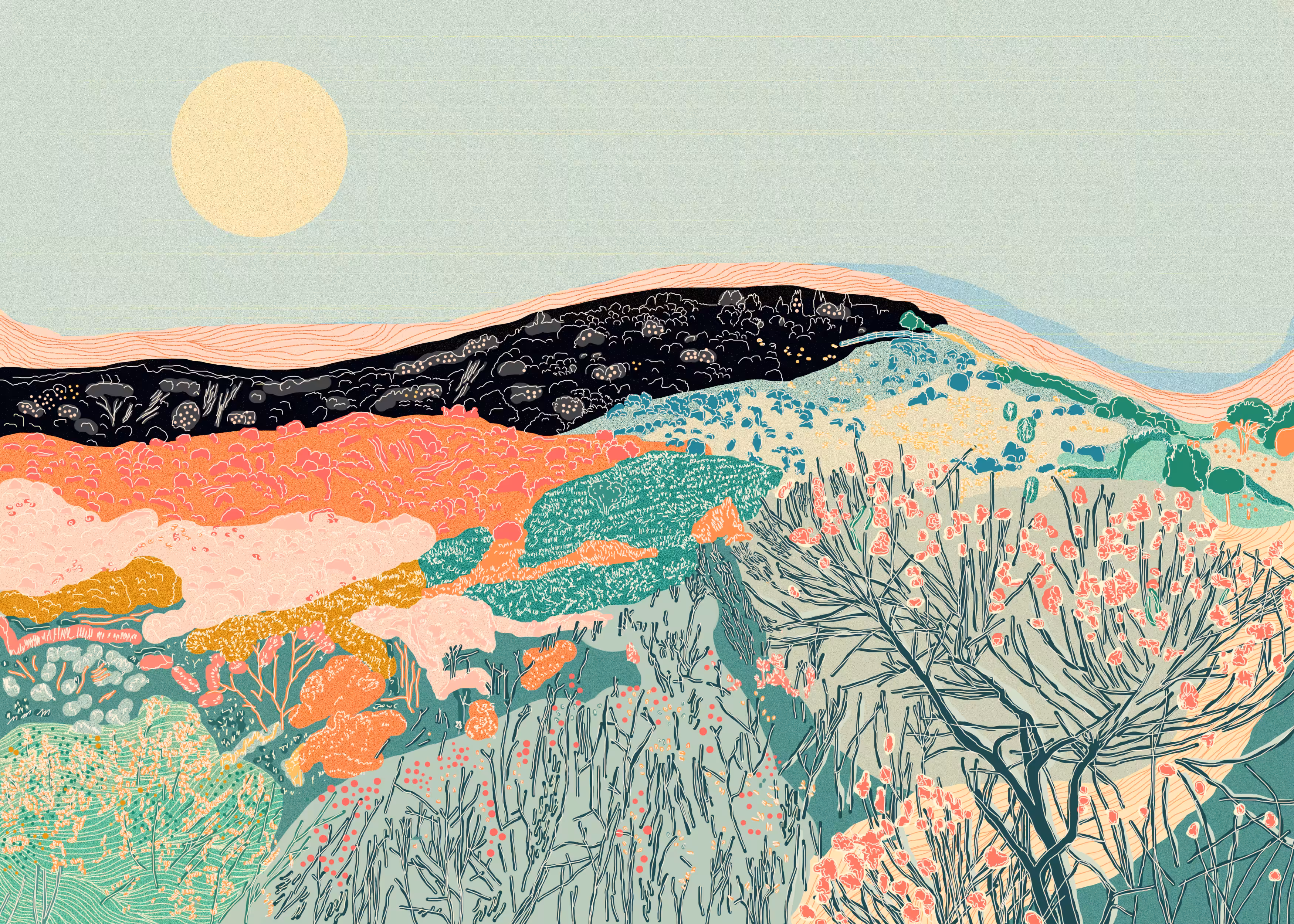 Blossom