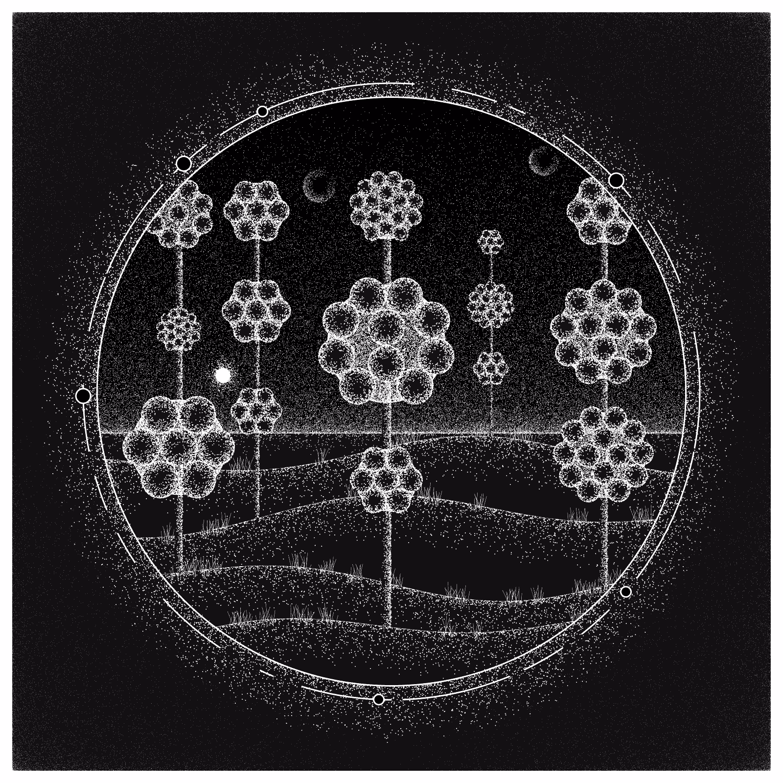 EXPLORING SPACE FLOWERS #59
