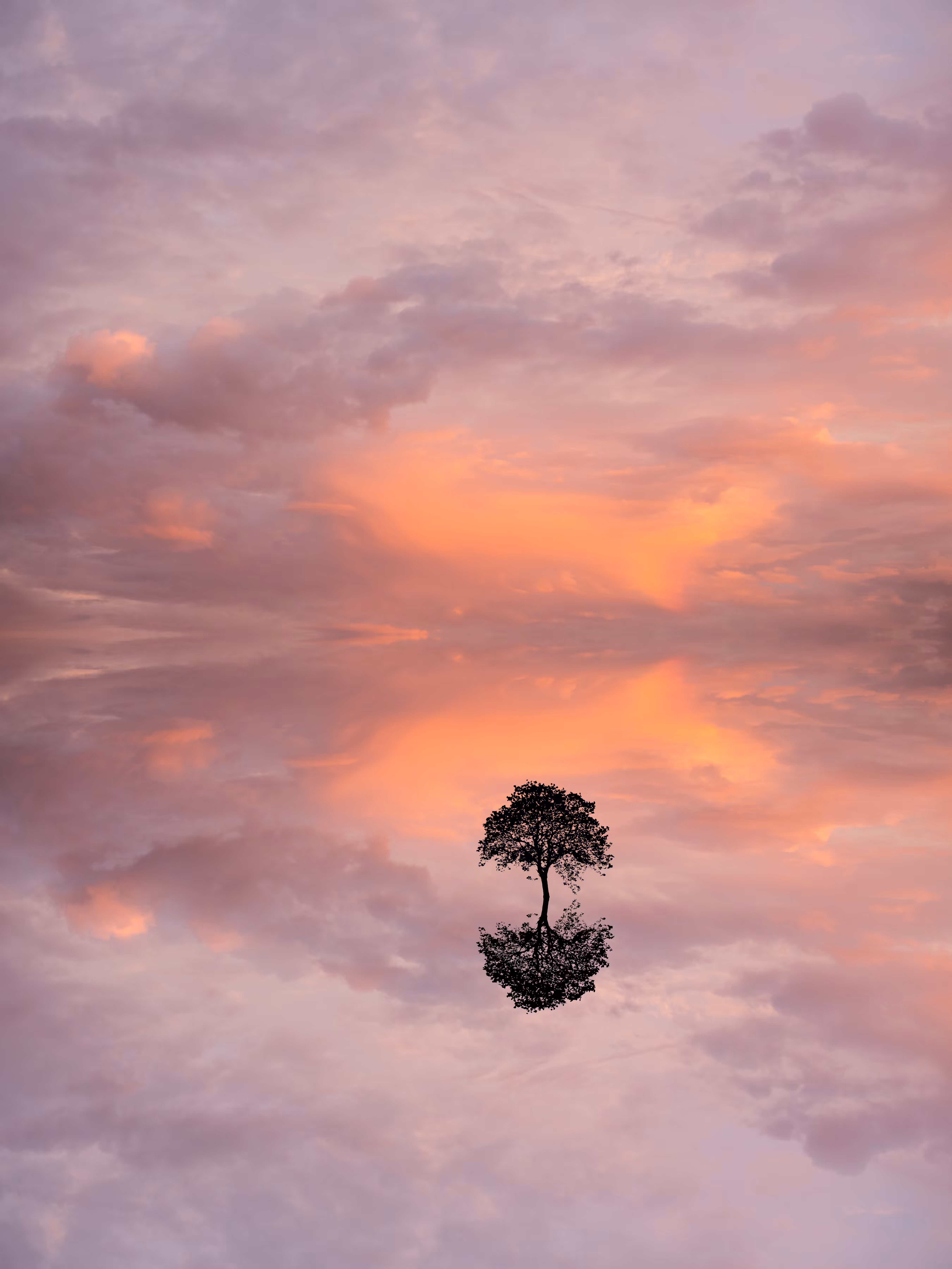 Reflection #71