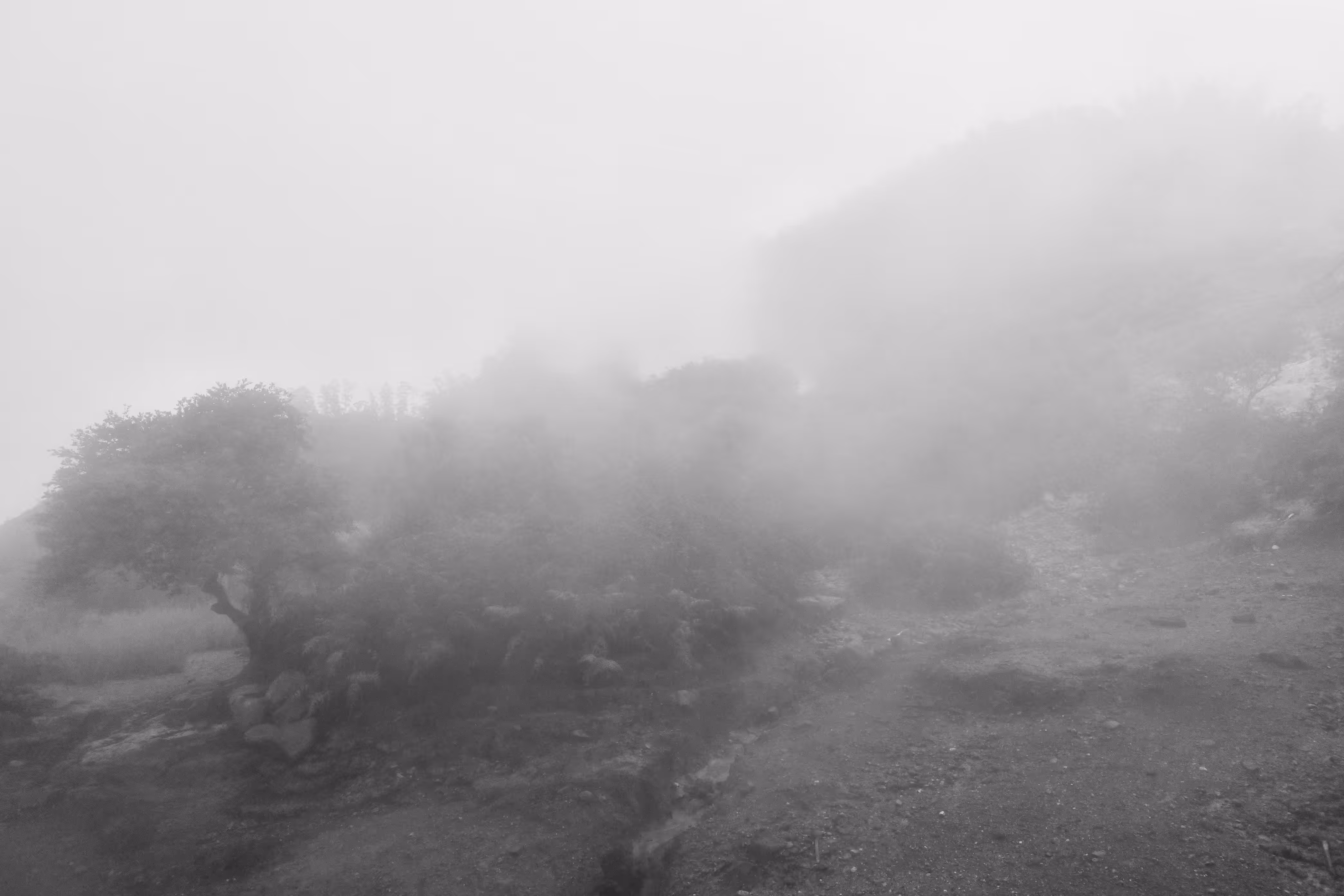 For the beauty of Fog: Imagination