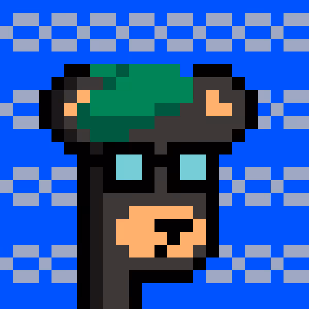 BearPunks #1334