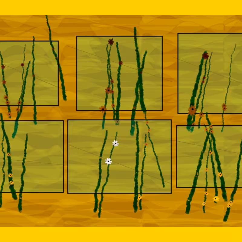 Flower Boxes #3