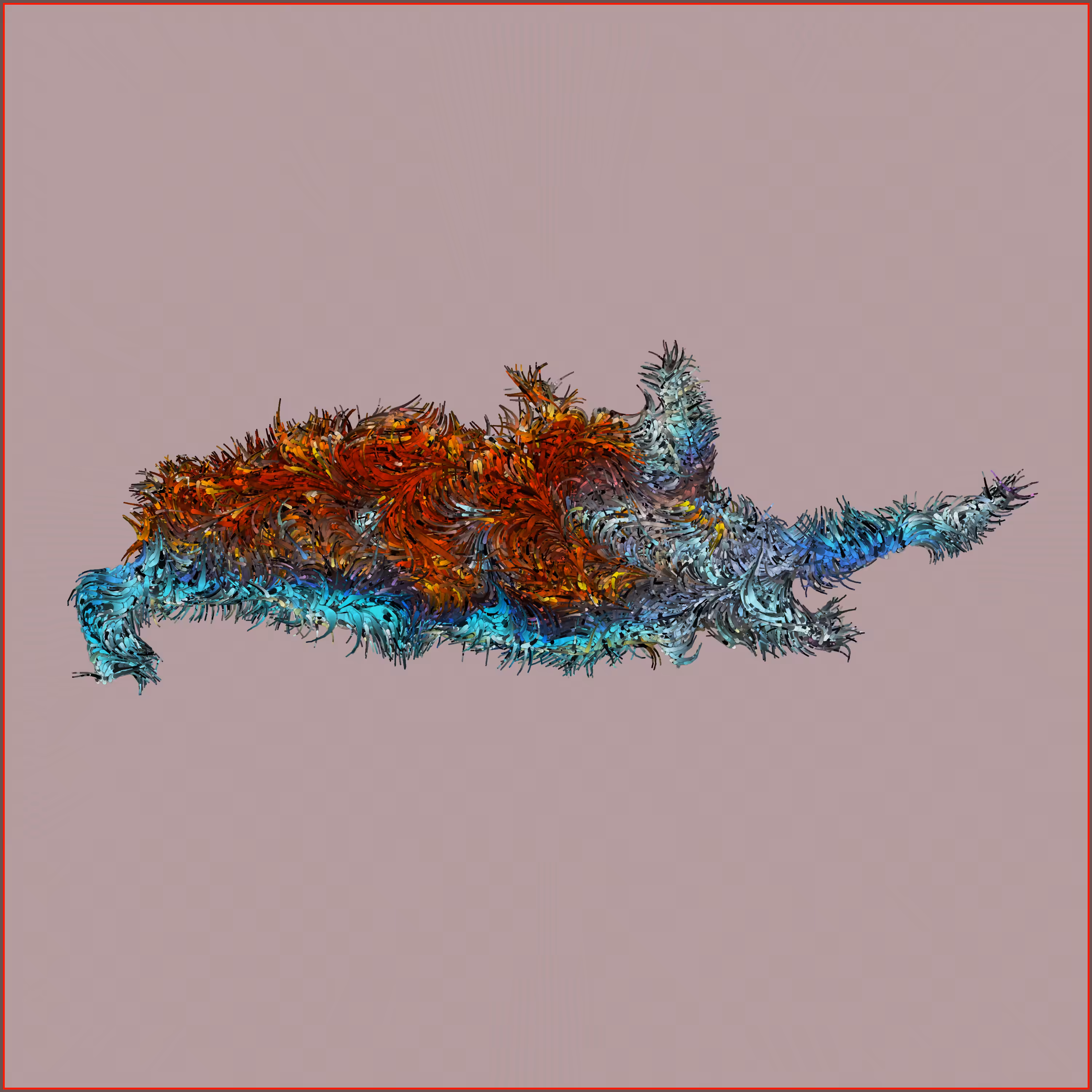 Nudibranch #8