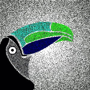 Toucan