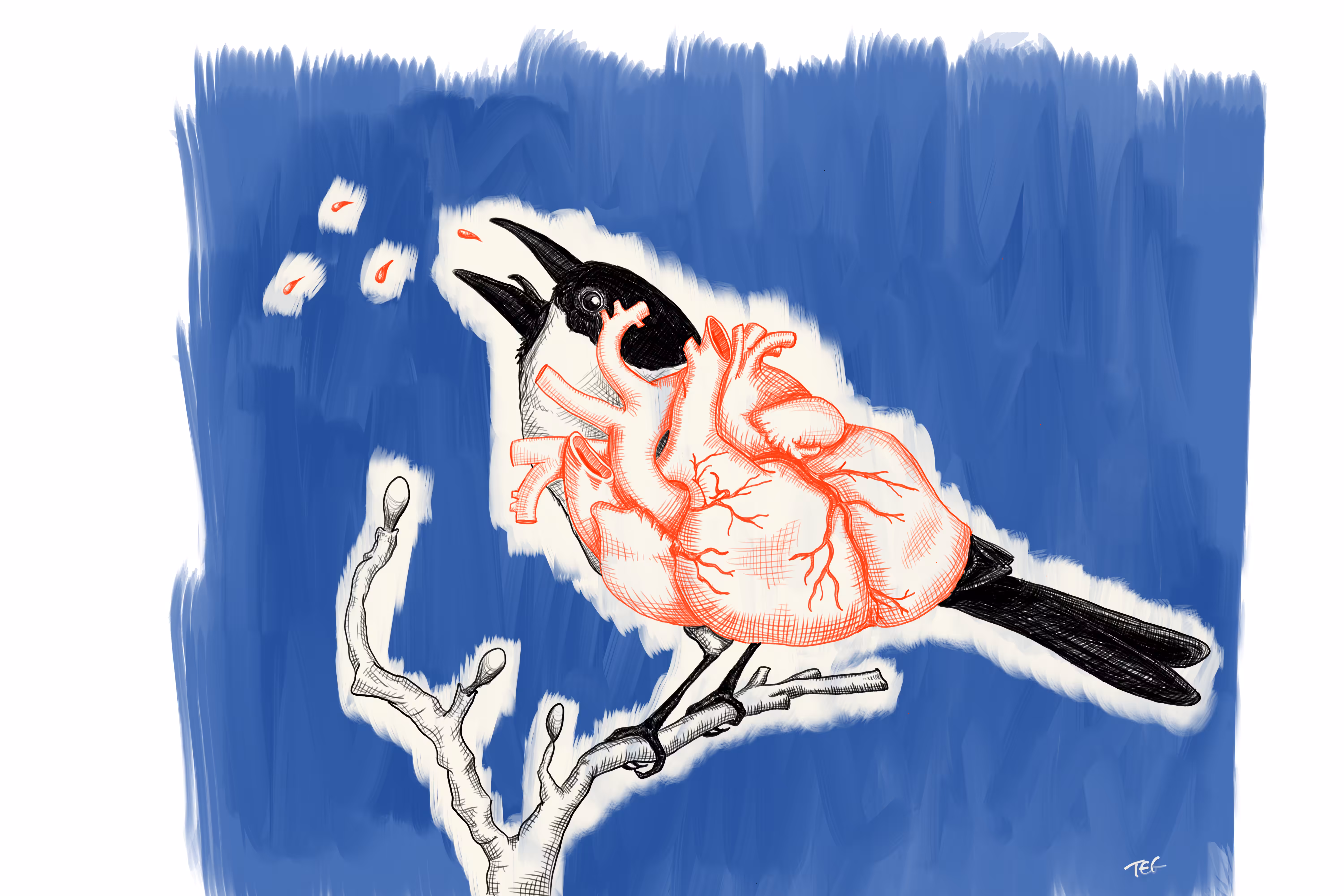 Oiseaucoeur