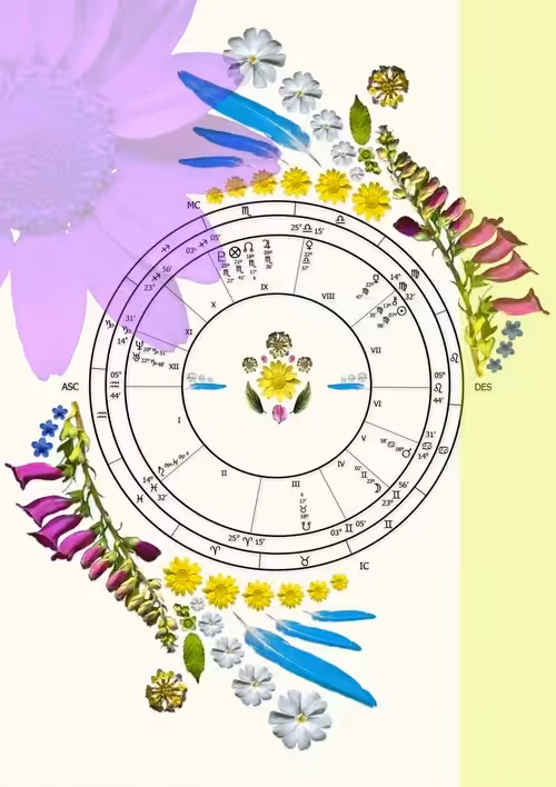 Astrology Birth and Event Chart