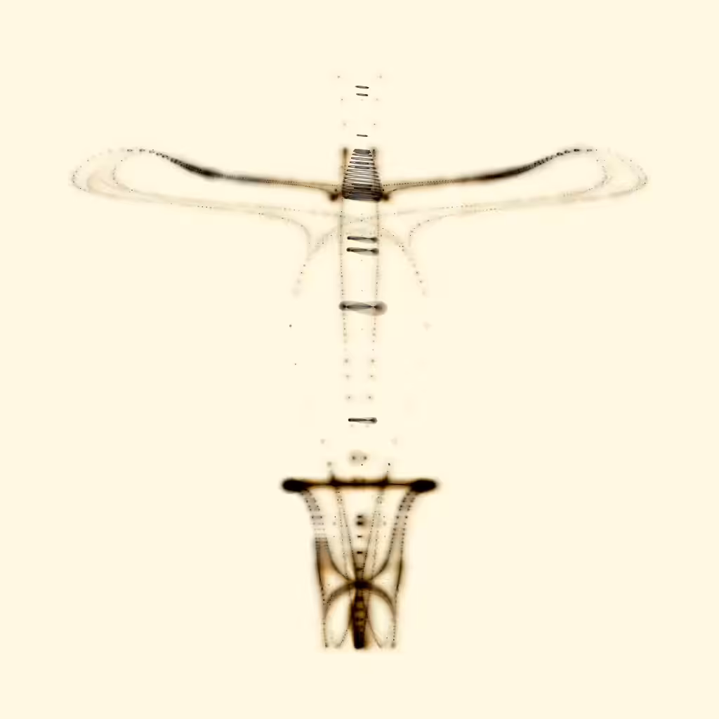 Spectral Beings: Spectral Being 277